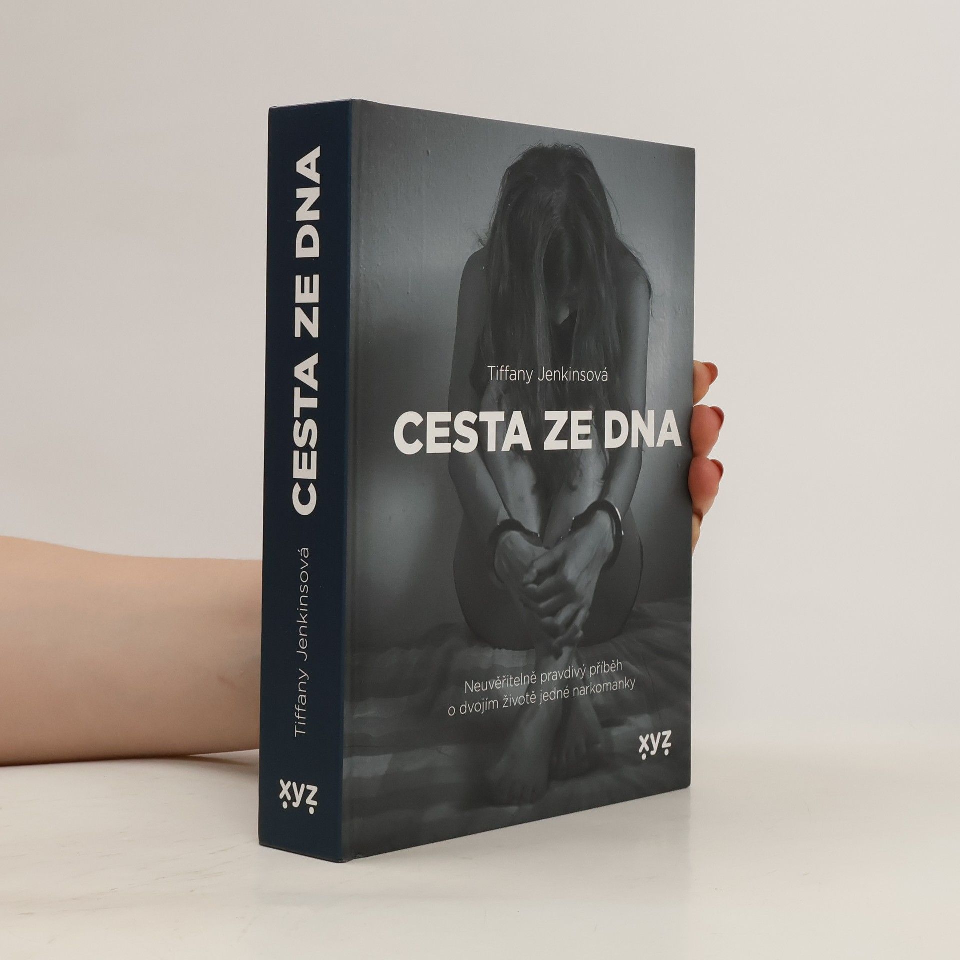 Tiffany Jenkins Cesta ze dna : neuvěřitelně pravdivý příběh o dvojím životě jedné narkomanky