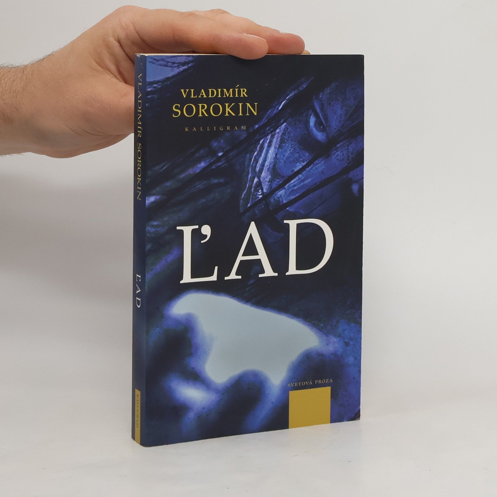 Wladimir Georgijewitsch Sorokin Ľad