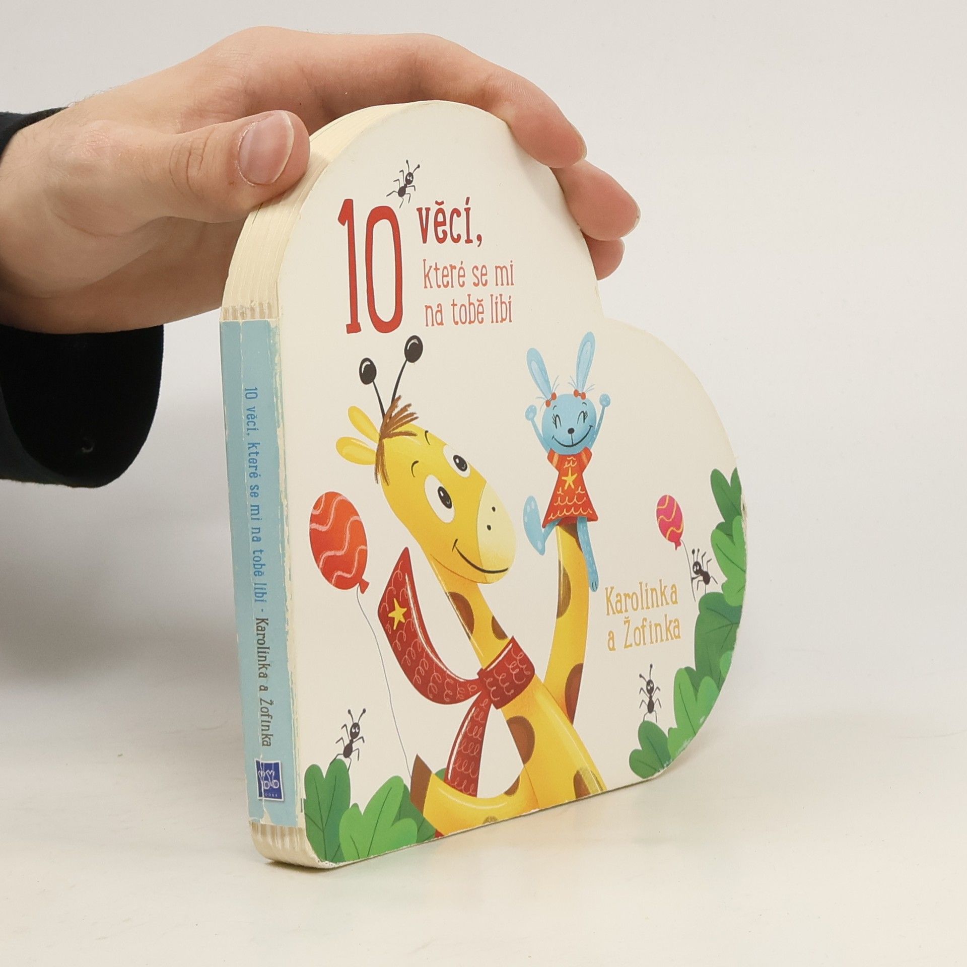 Autores varios 10 věcí, které se mi na tobě líbí Karolínka a Žofinka