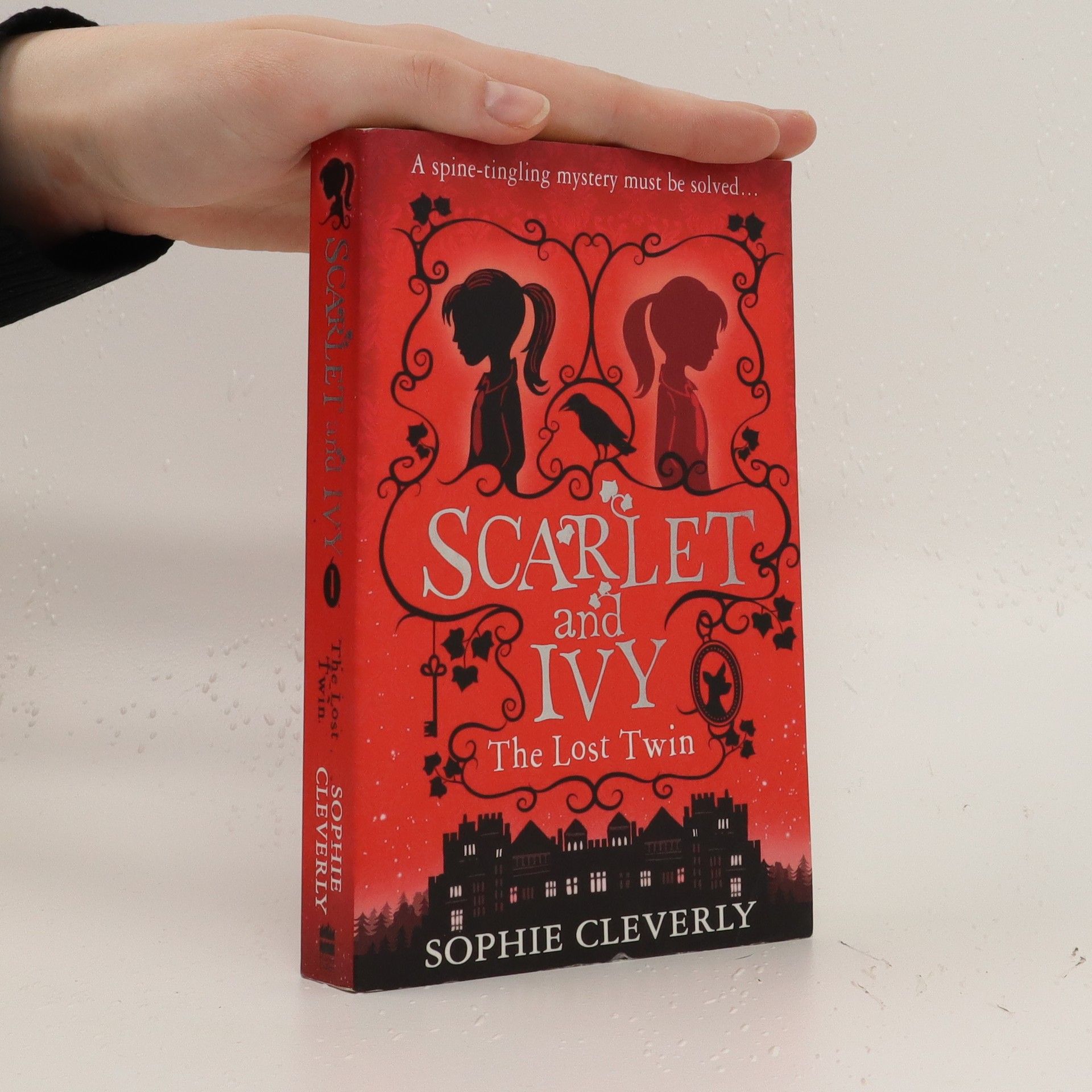 Sophie Cleverly Scarlet and Ivy : the lost twin