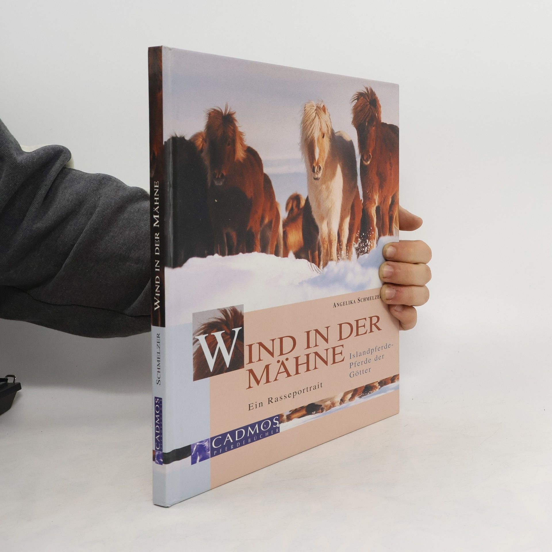 Angelika Schmelzer Wind in der Mähne