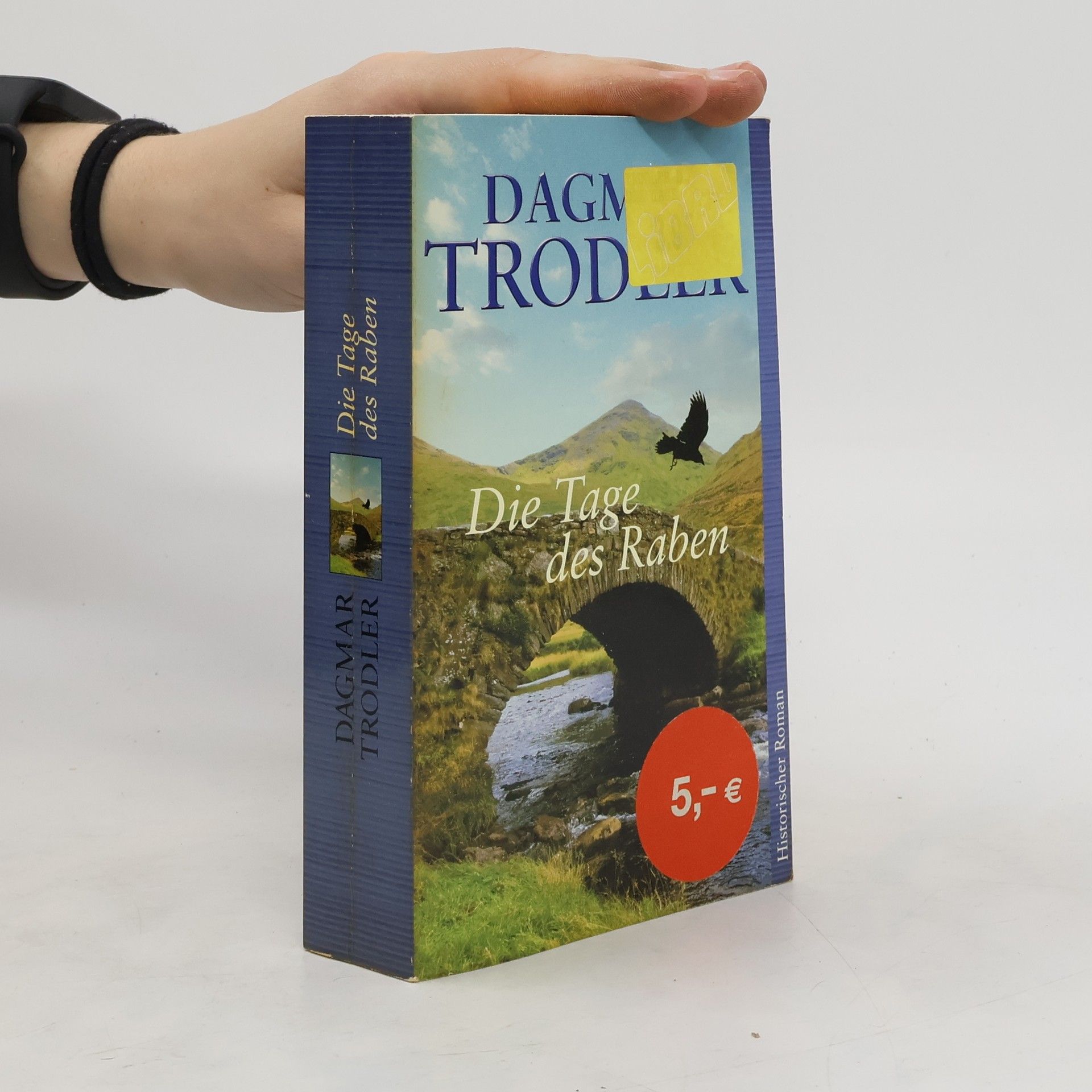 Dagmar Trodler Die Tage des Raben
