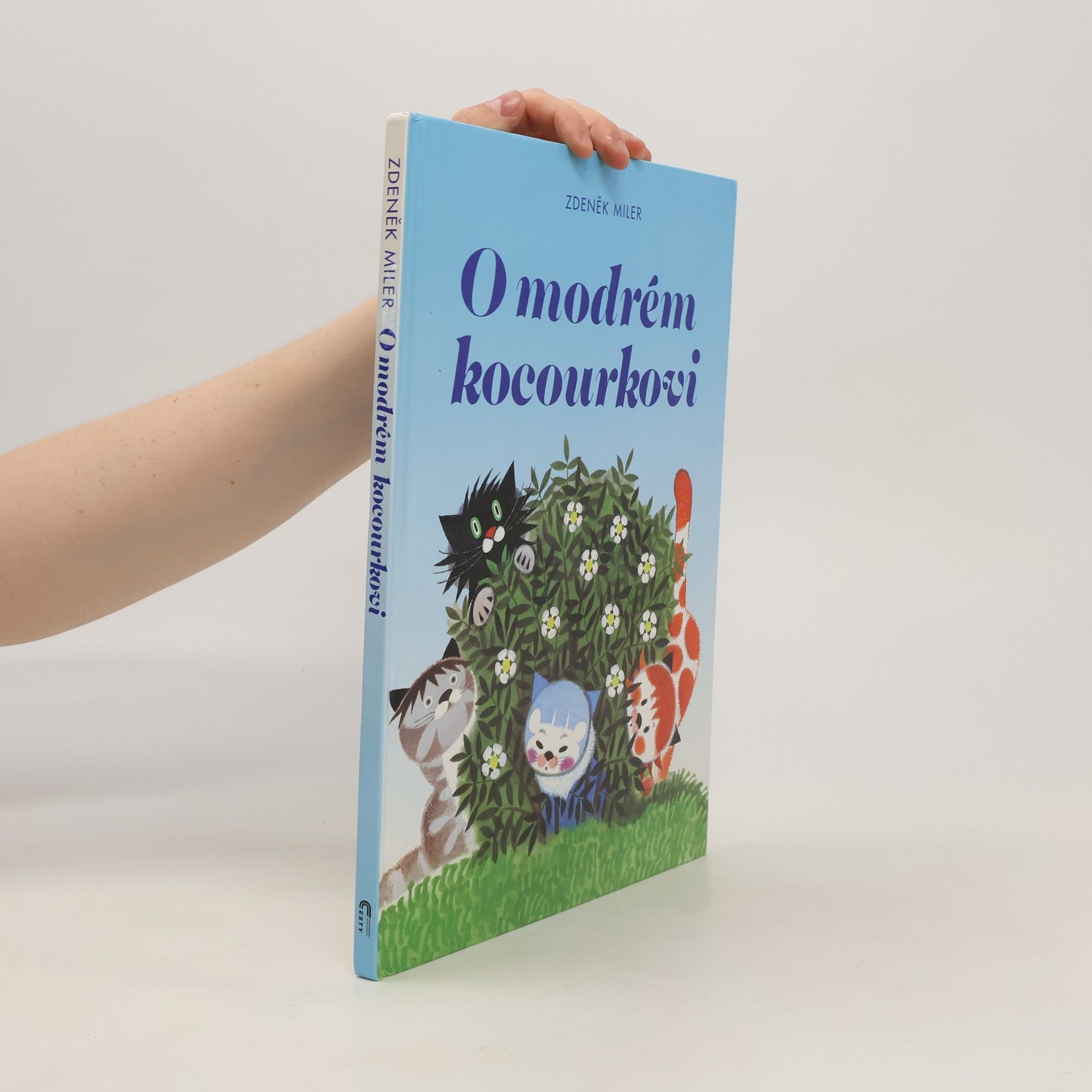 Marika Hellstrom Kennedy O modrém kocourkovi