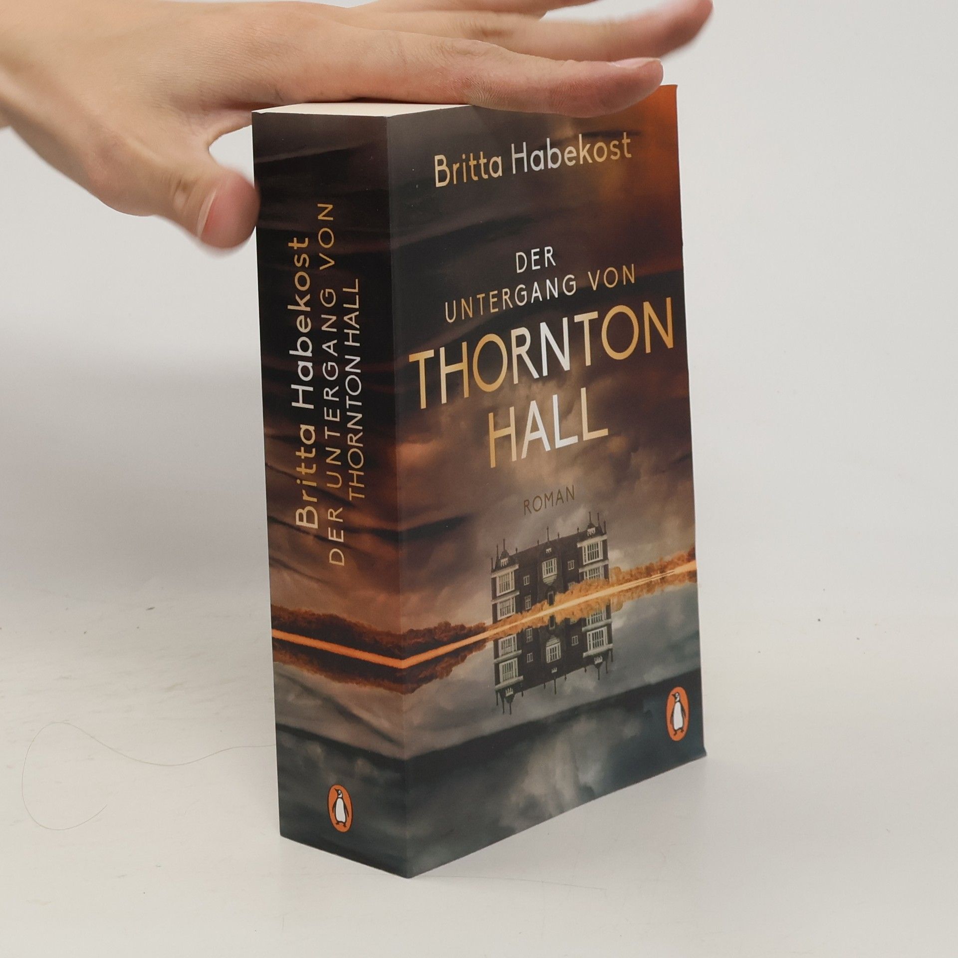 Britta Habekost Der Untergang von Thornton Hall