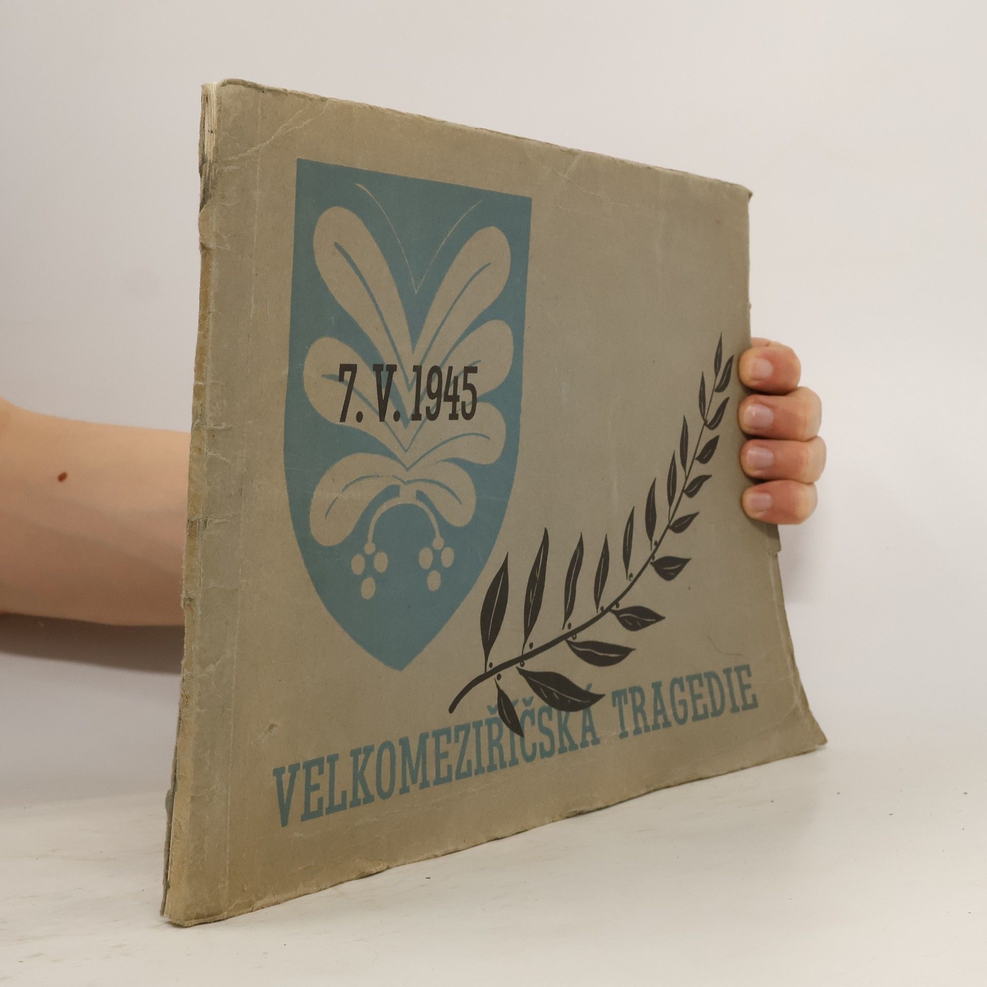 Collectif d'auteurs Velkomeziříčská tragedie 1945