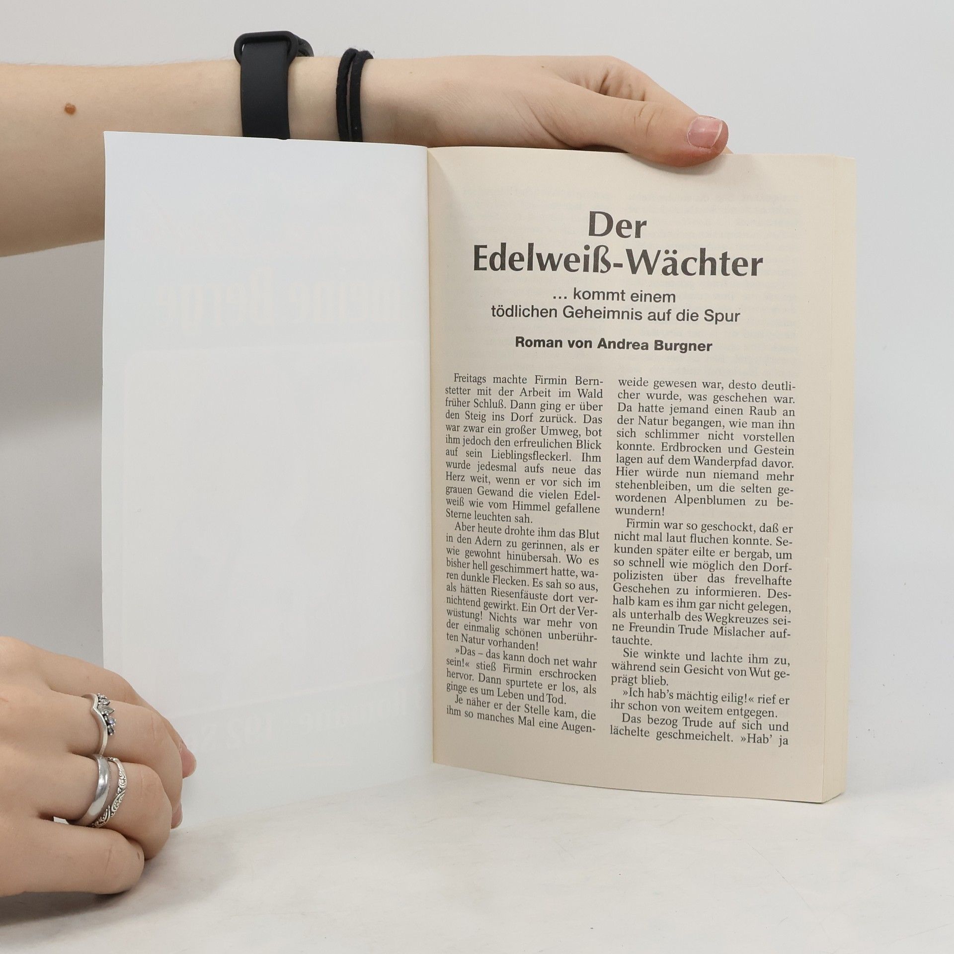 kolektiv Meine Liebe, meine Berge Nr. 77