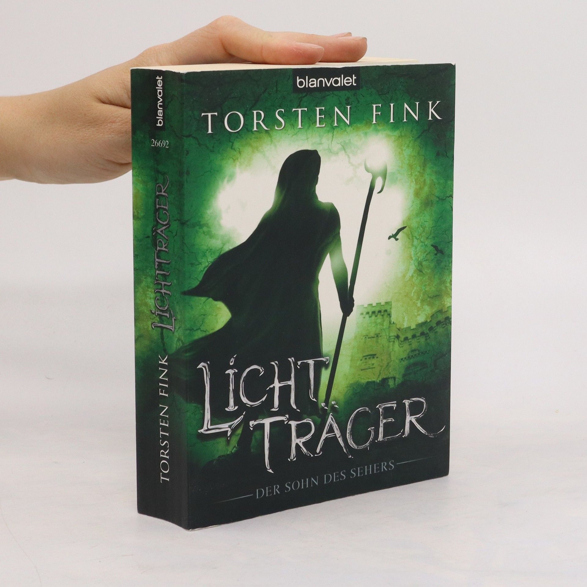 Torsten Fink Lichtträger - Sohn des Sehers. Sohn des Sehers Band 2