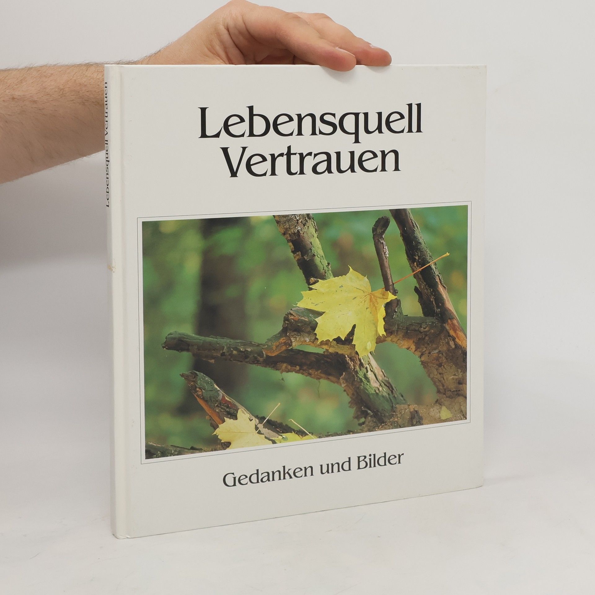 Steffen Thost Lebensquell Vetrauen