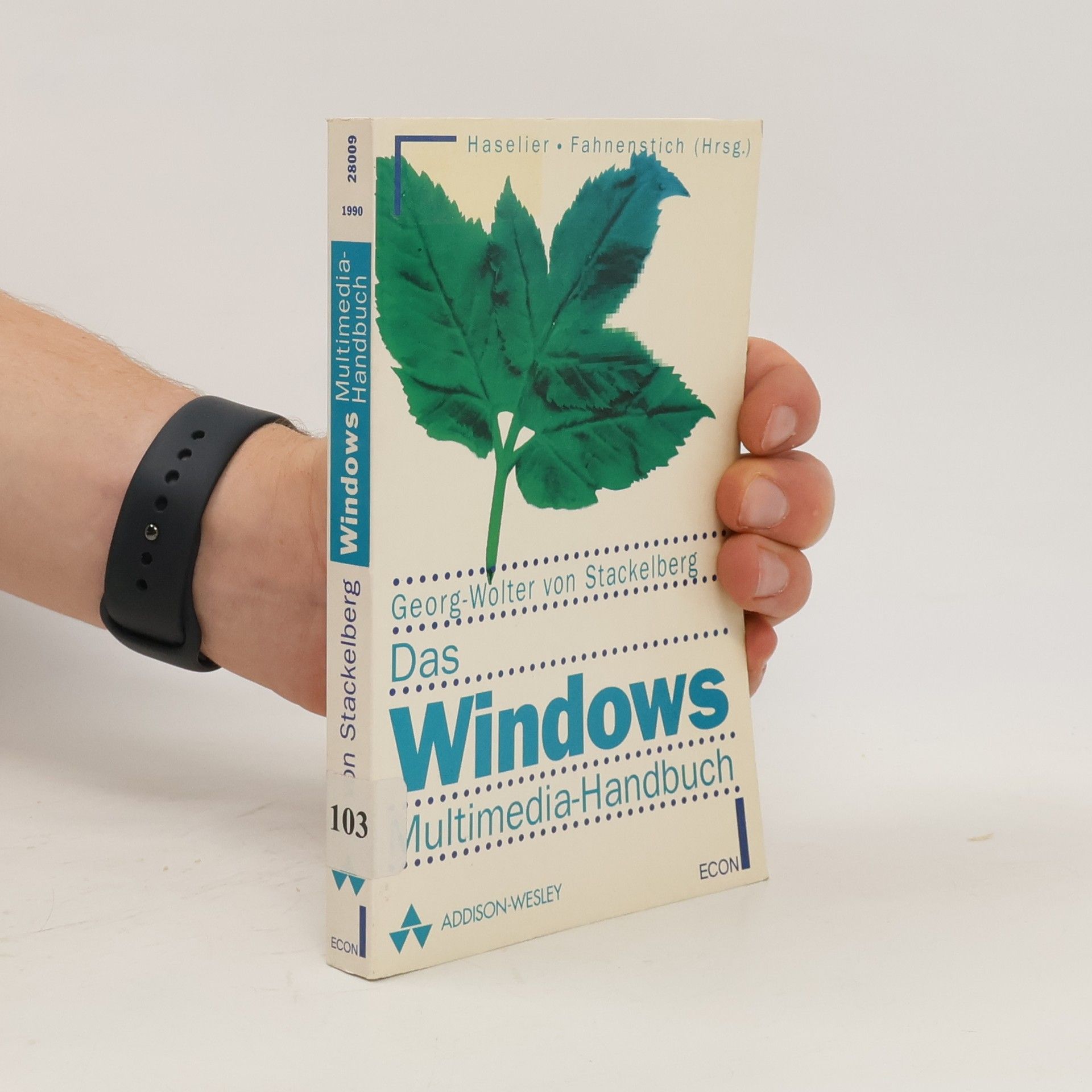 Georg Wolter von Stackelberg Das Windows-Multimedia-Handbuch