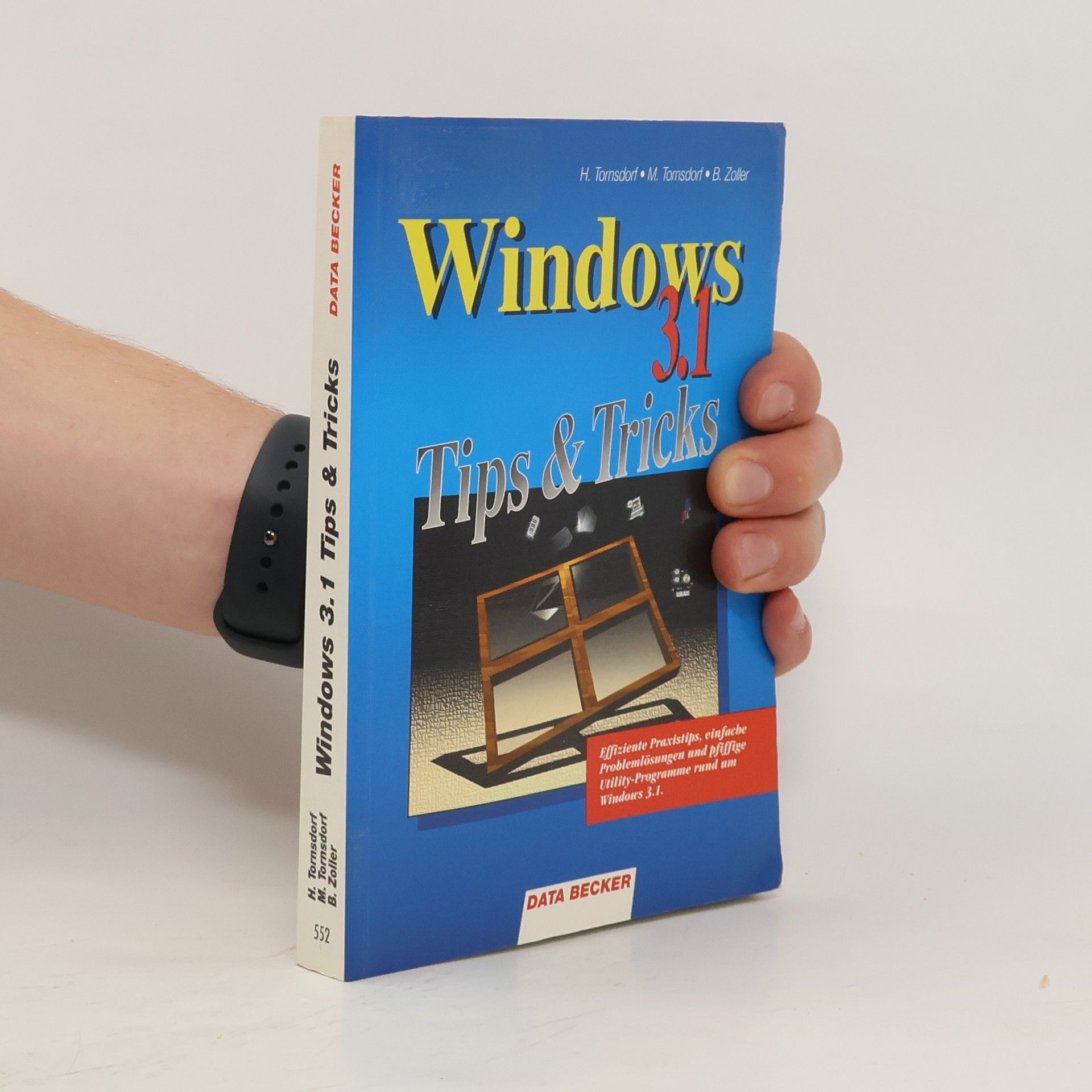 Helmut Tornsdorf Windows 3.1