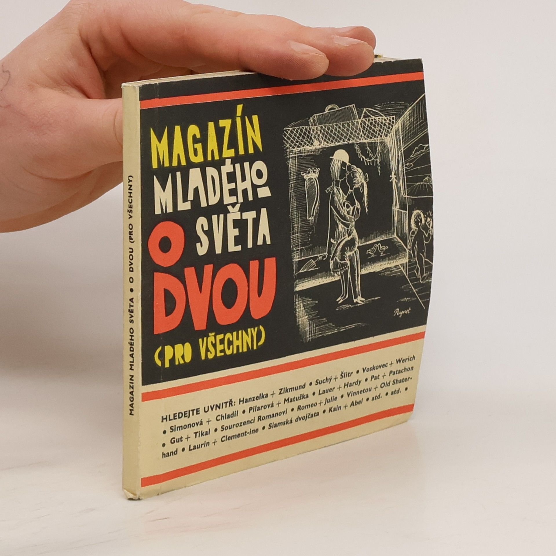 Autorenkollektiv Magazín Mladého světa o dvou (pro všechny)