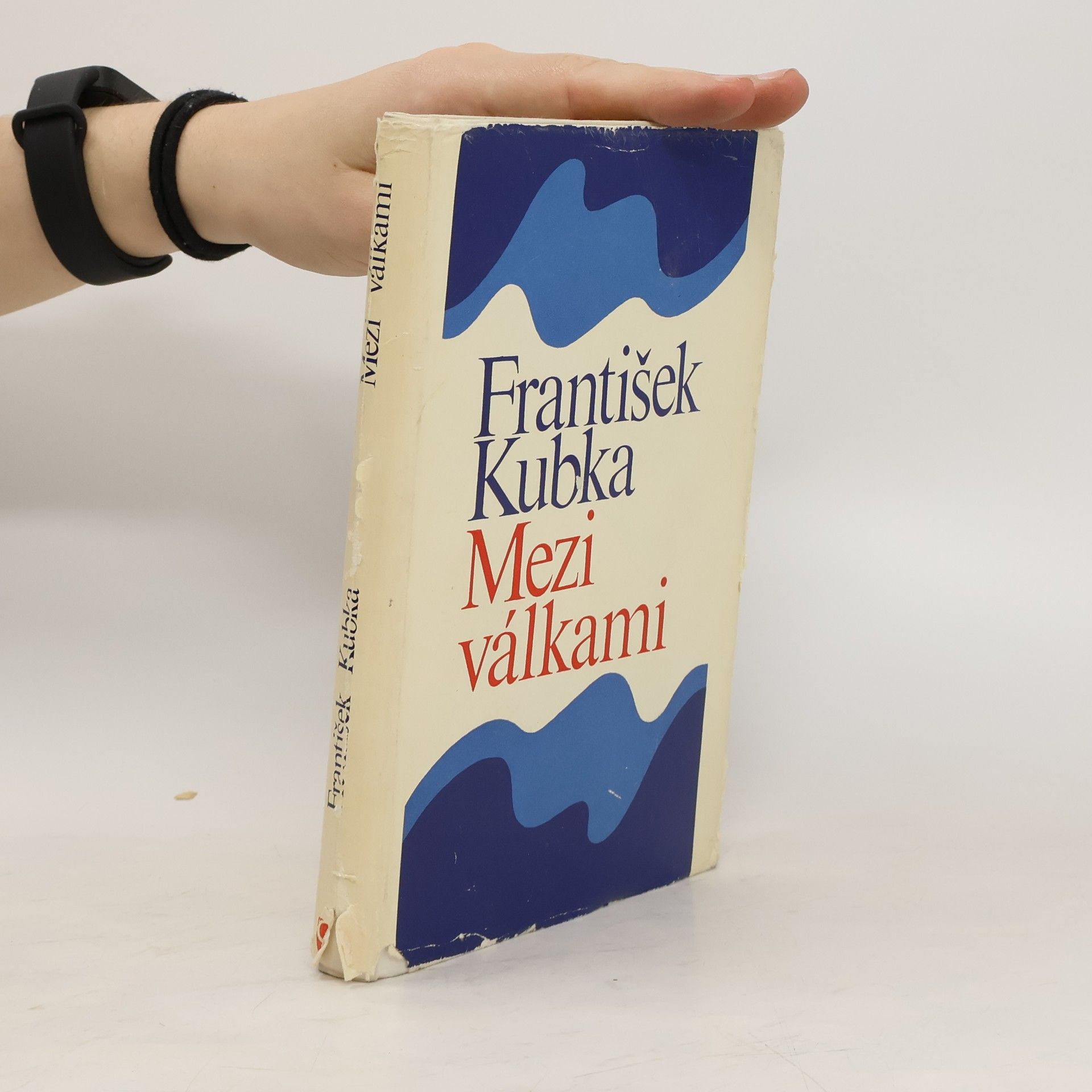 František Kubka Mezi válkami