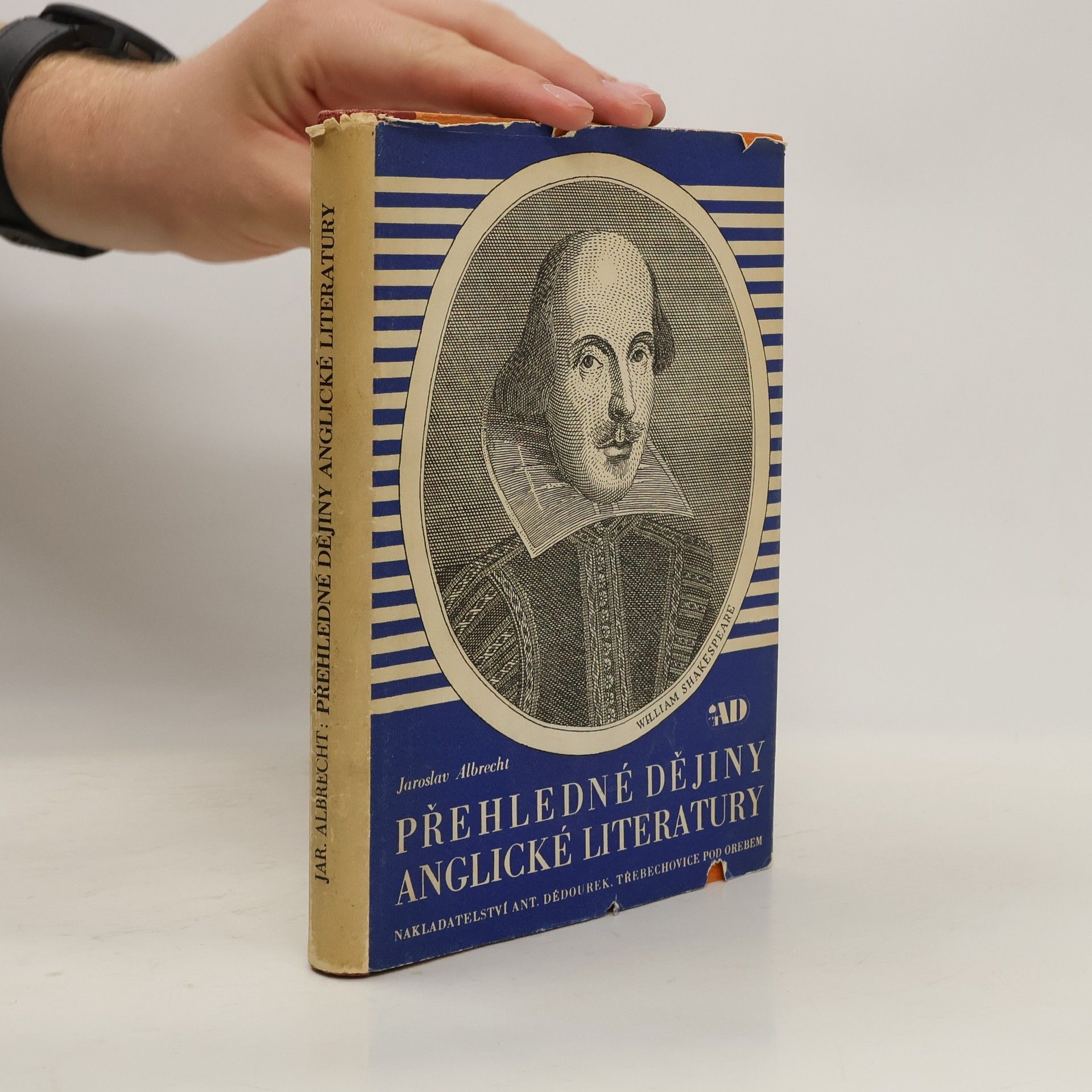 Jaroslav Albrecht Přehledné dějiny anglické literatury