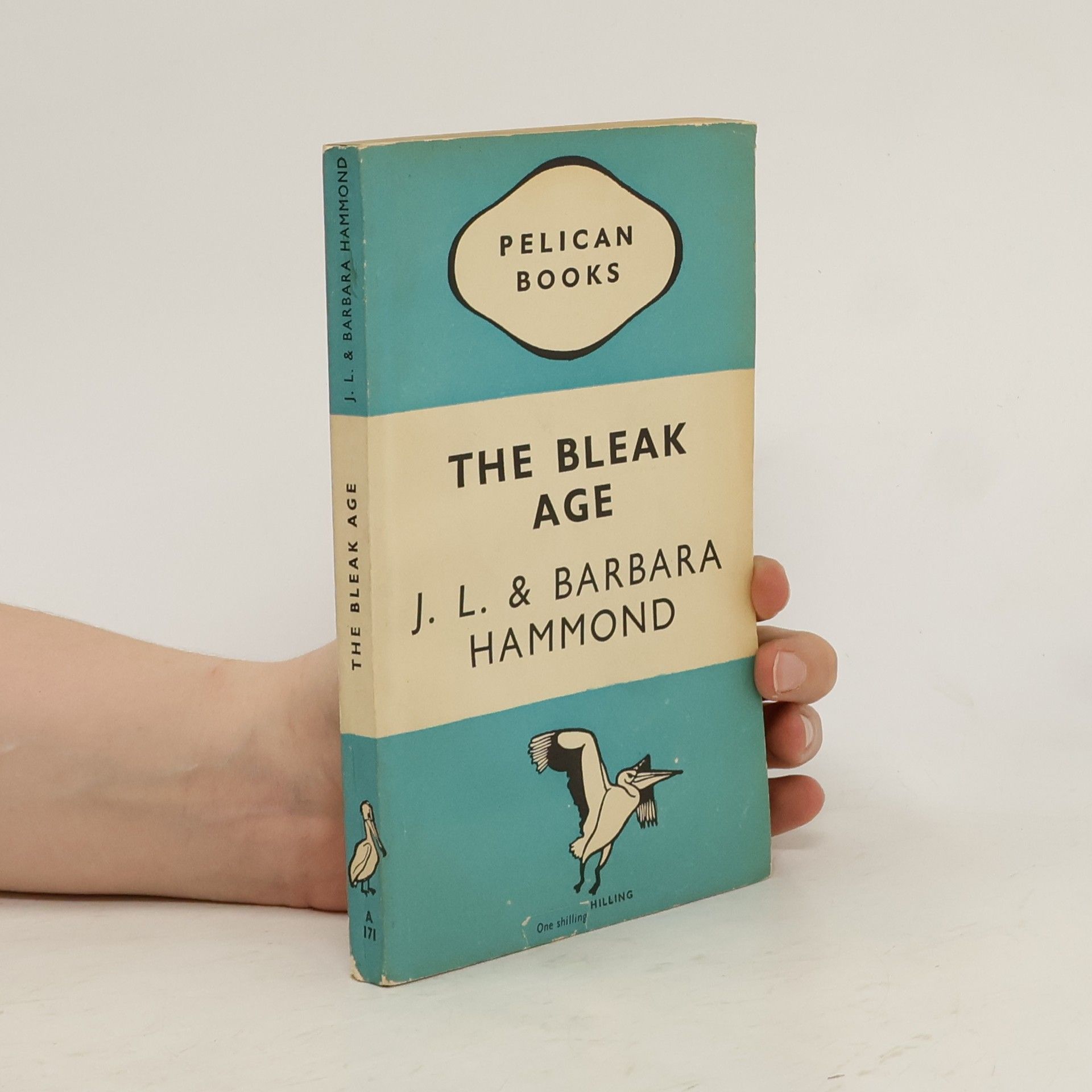 Barbara Bradby Hammond The Bleak Age