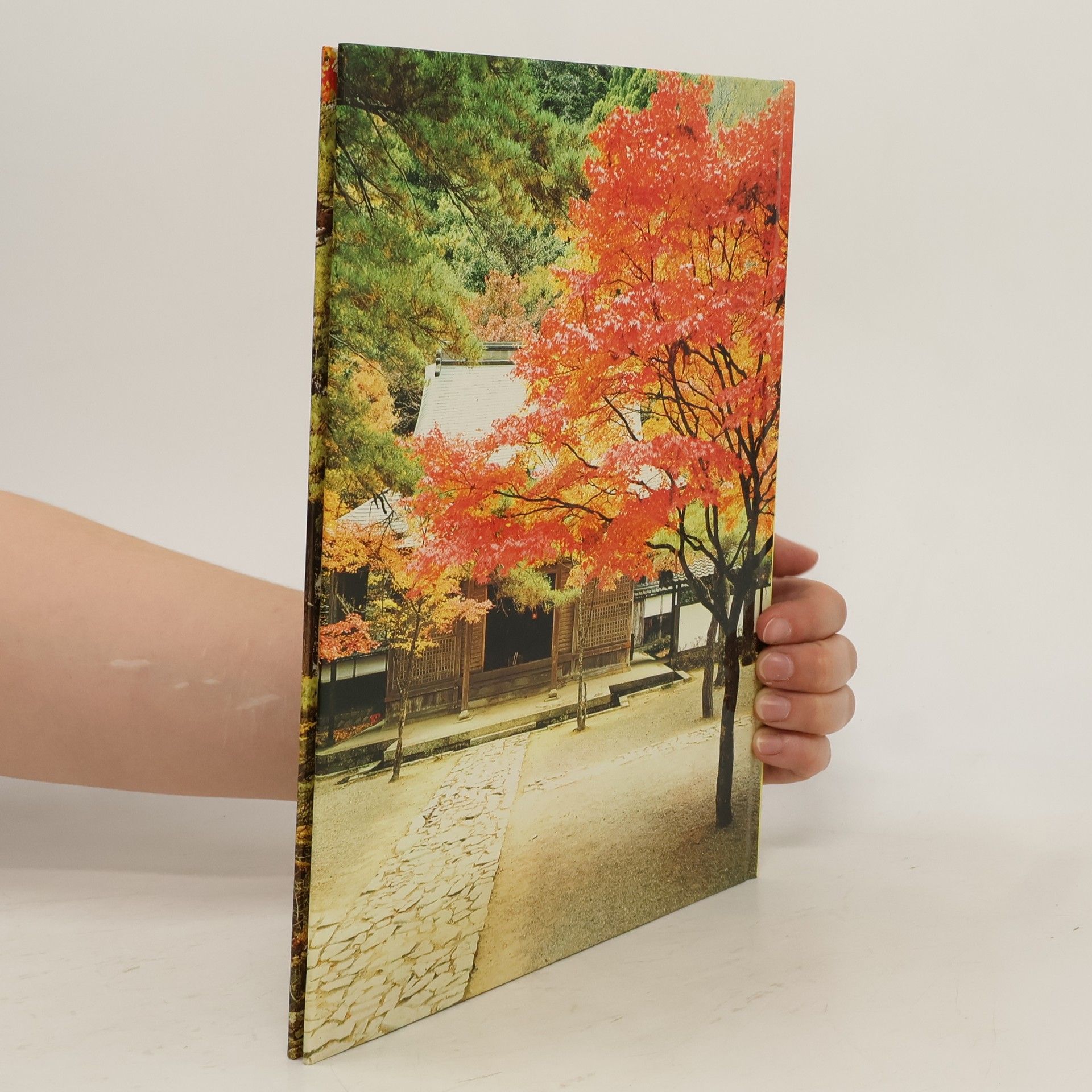 Autorenkollektiv Japan