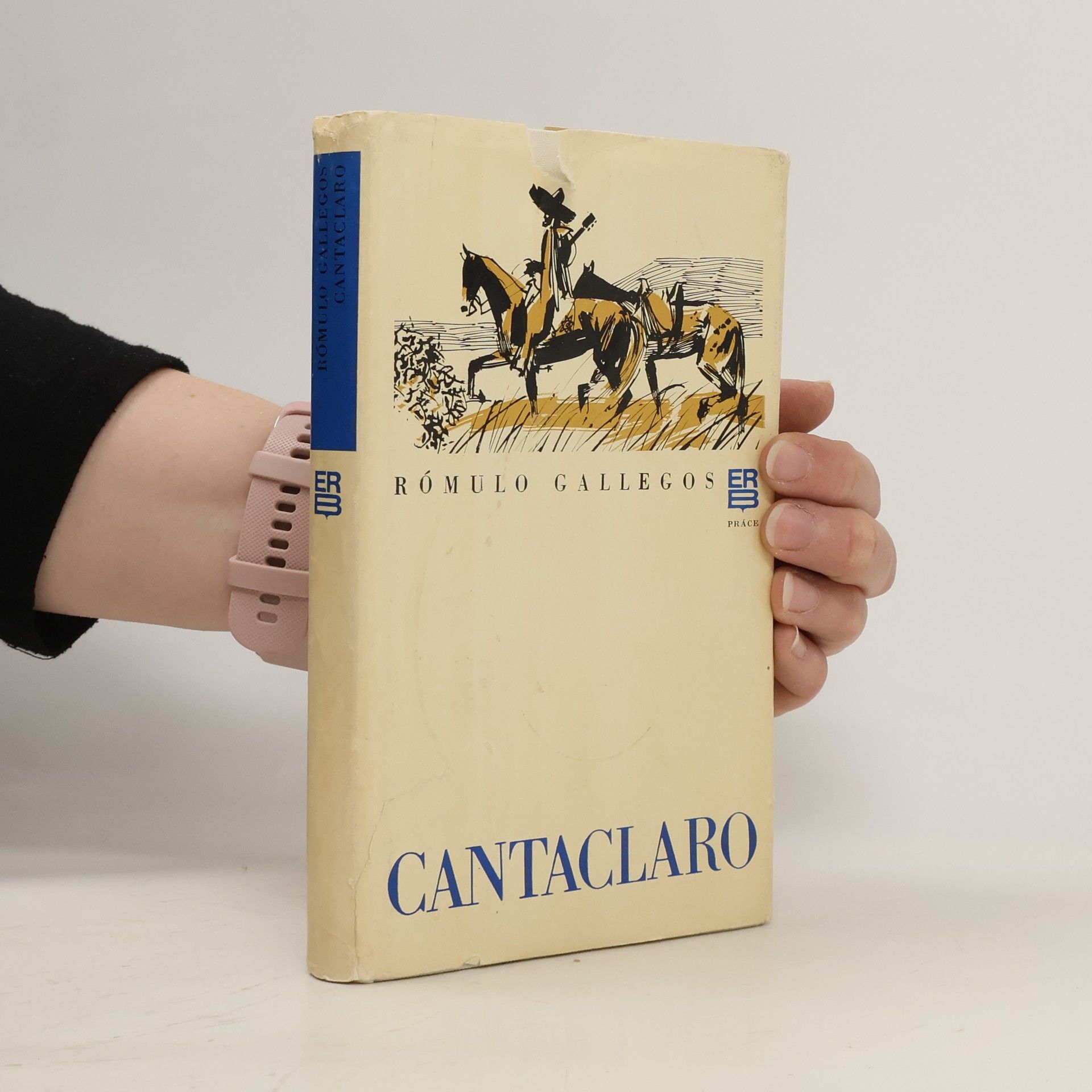 Rómulo Gallegos Cantaclaro