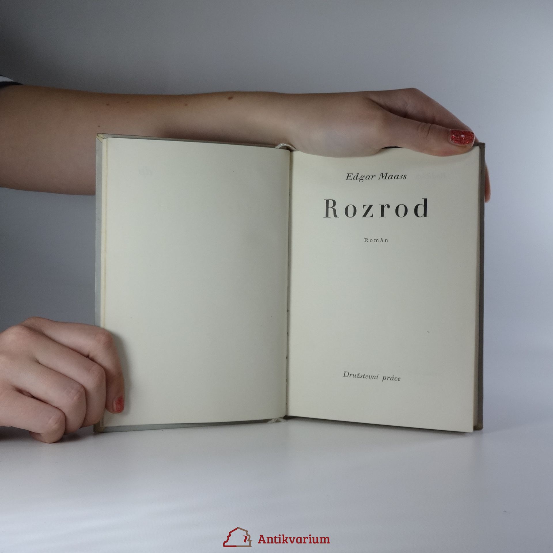 Edgar Maass Rozrod