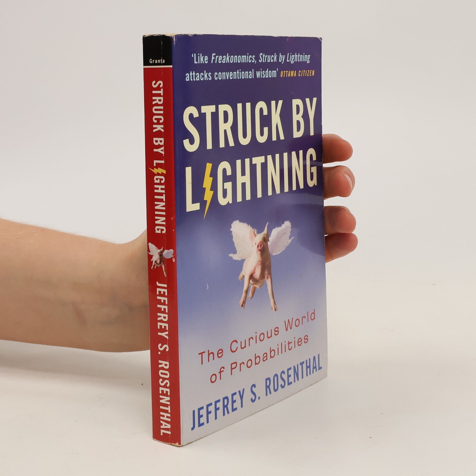 Jeffrey S. Rosenthal Struck by Lightning