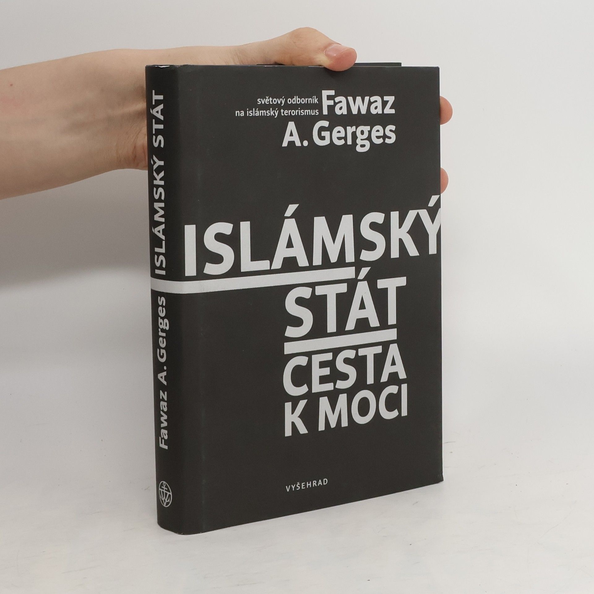 Fawaz A. Gerges Islámský stát : cesta k moci