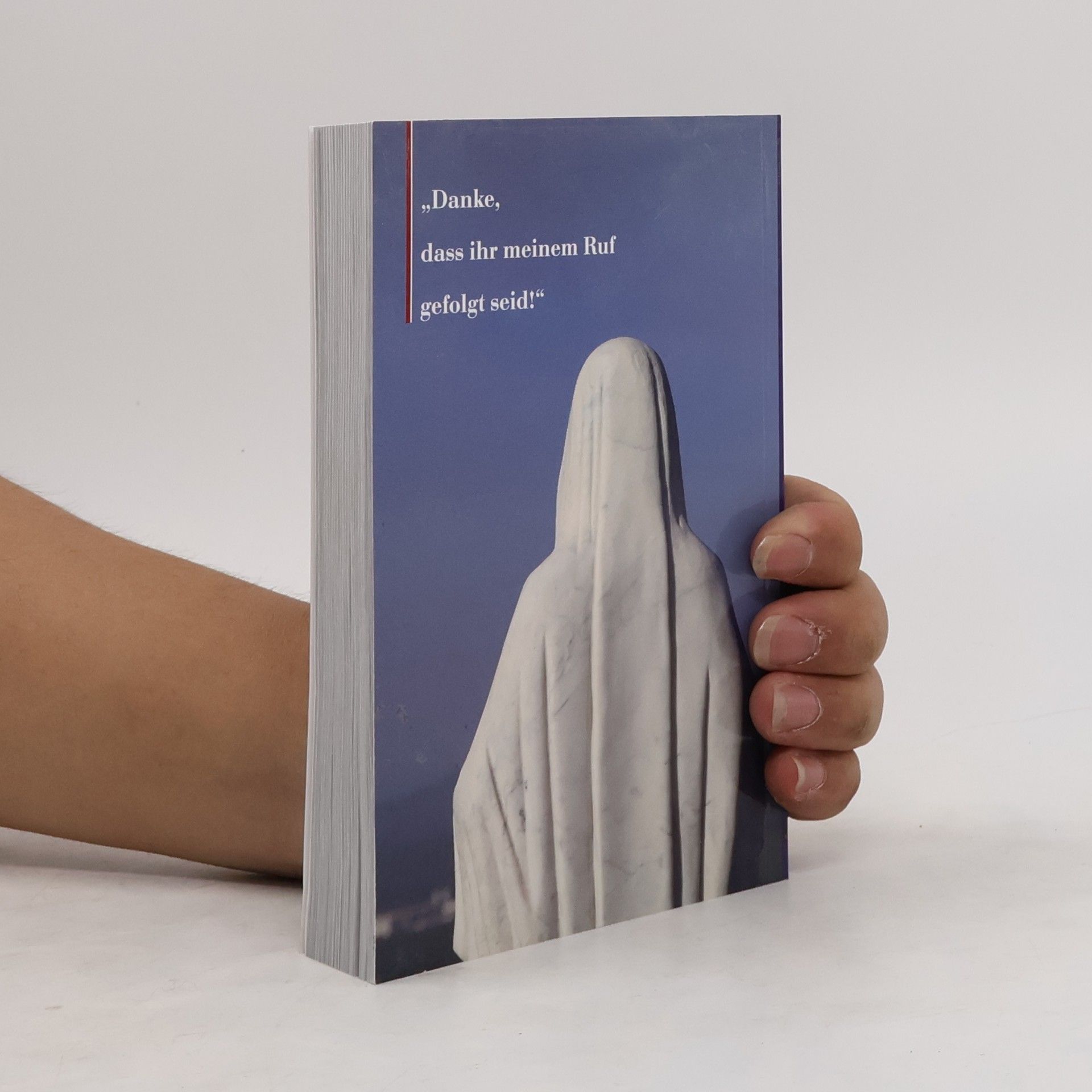 Autorenkollektiv Medjugorje. Botschaften aus Medjugorje 1984 - 2018