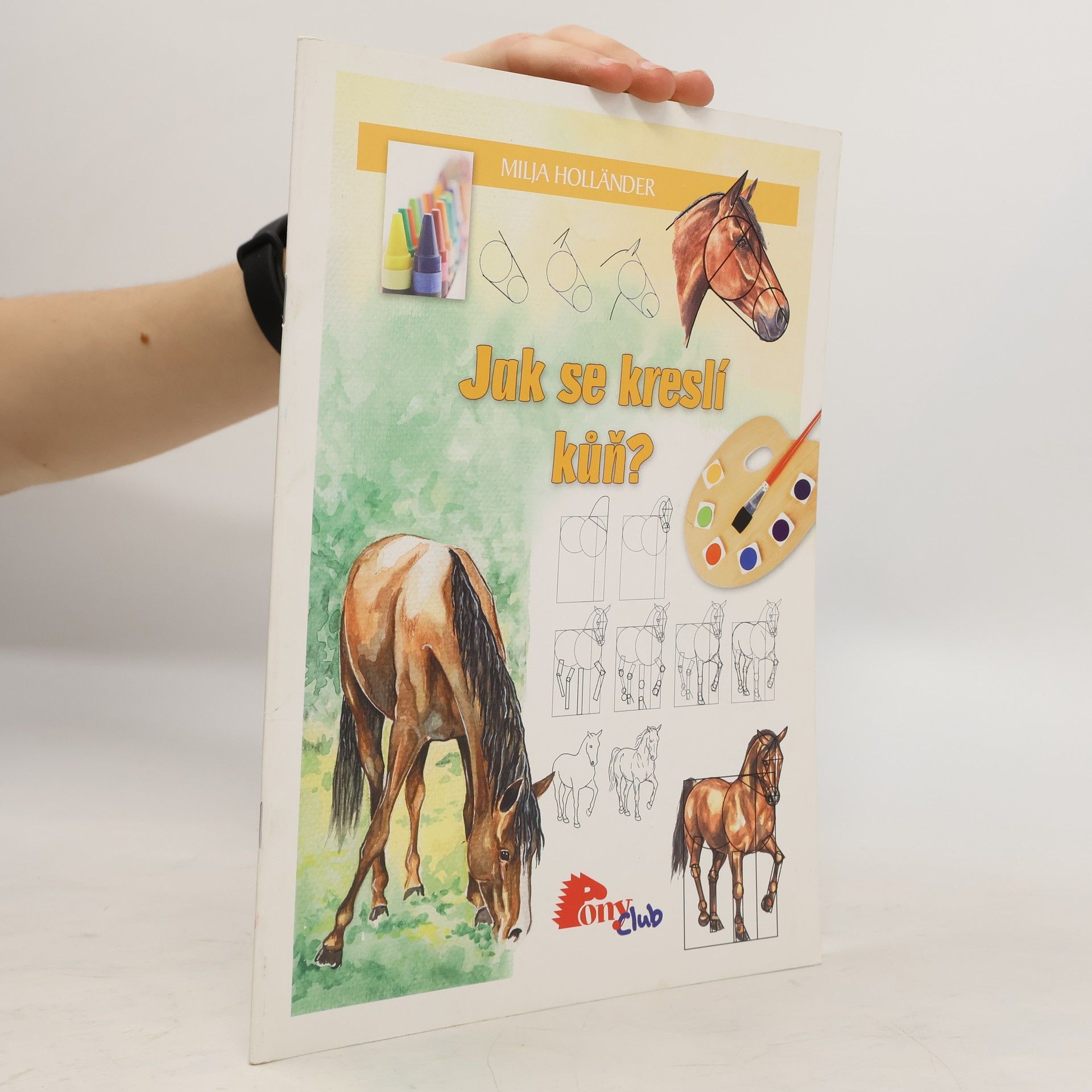 Jak se kreslí kůň?