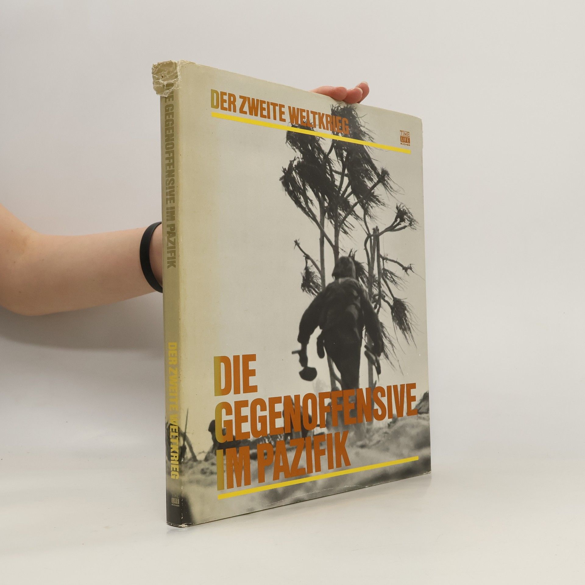 Die Gegenoffensive im Pazifik