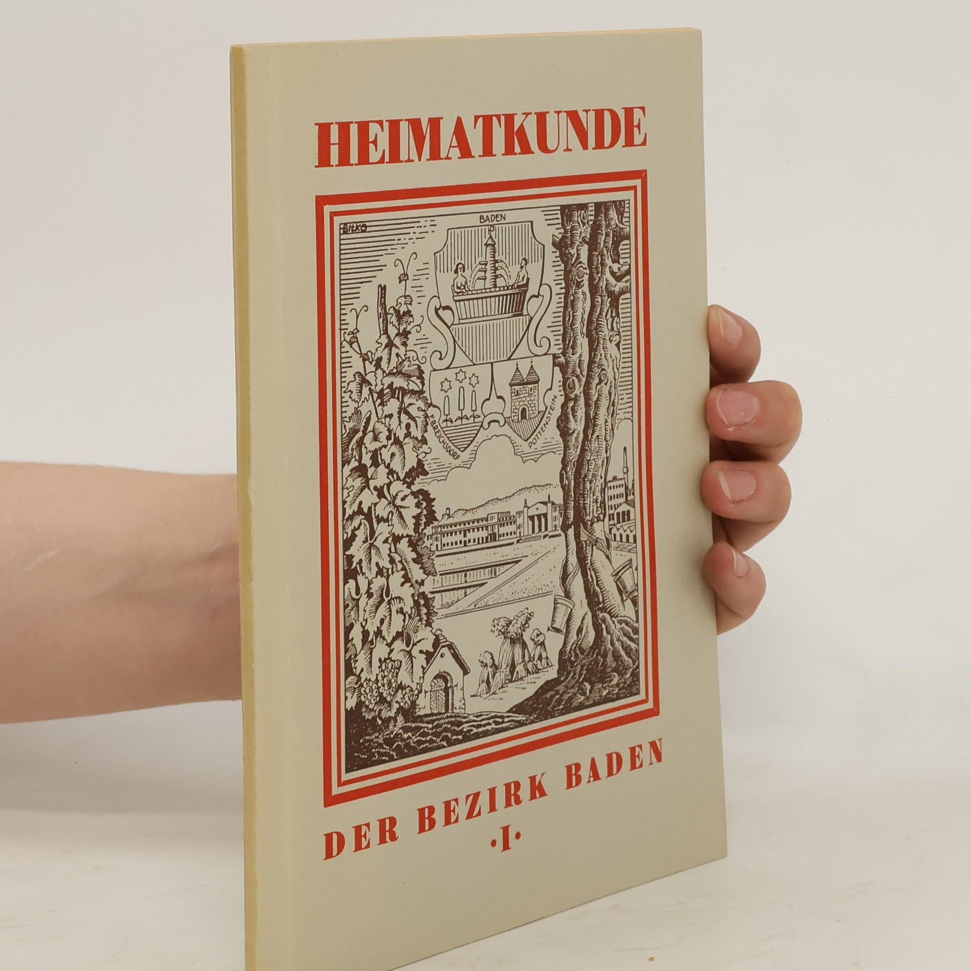 Kolektiv autorů Heimatkunde. Der nezirk baden I