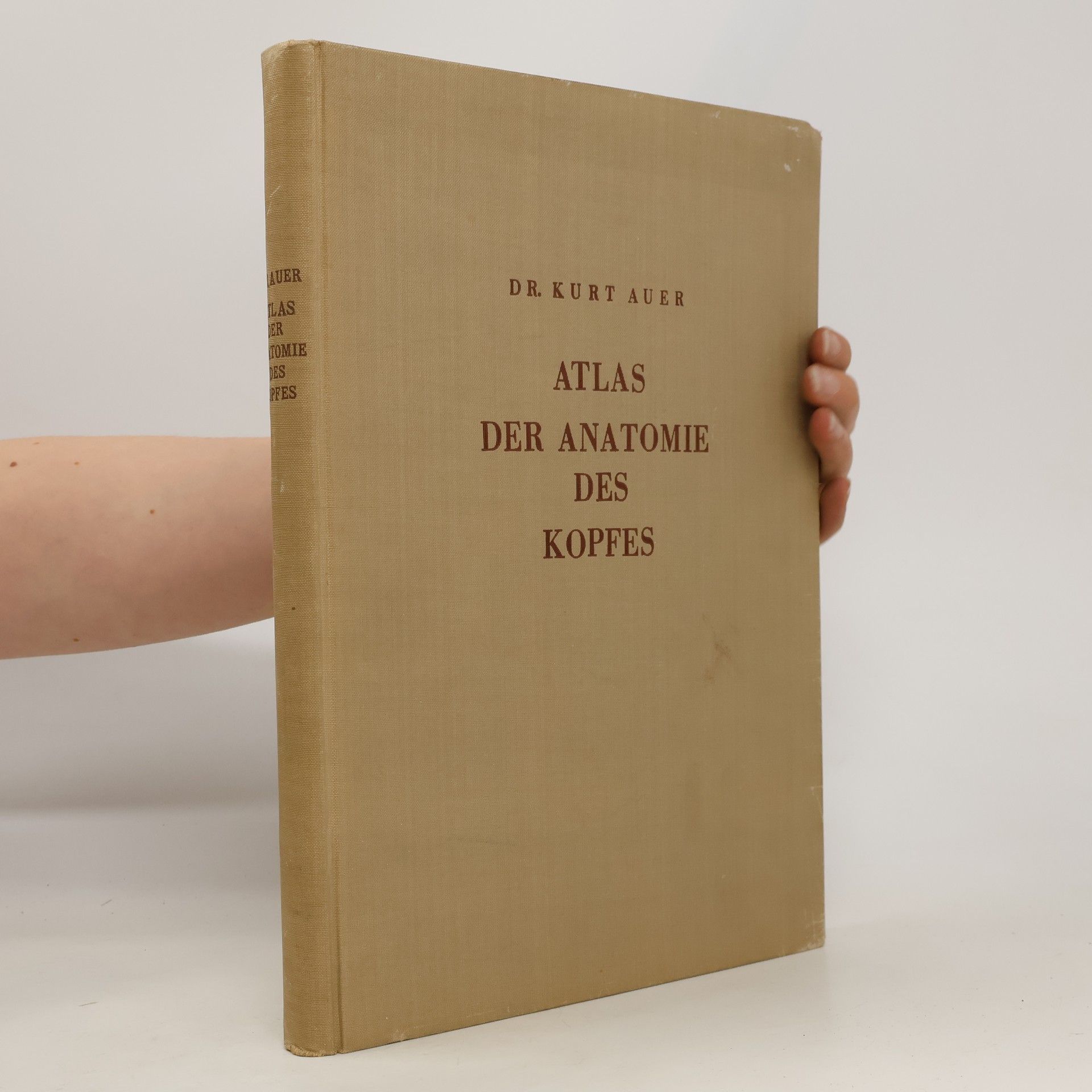 Kurt V. Auer Atlas der Anatomie des Kopfes
