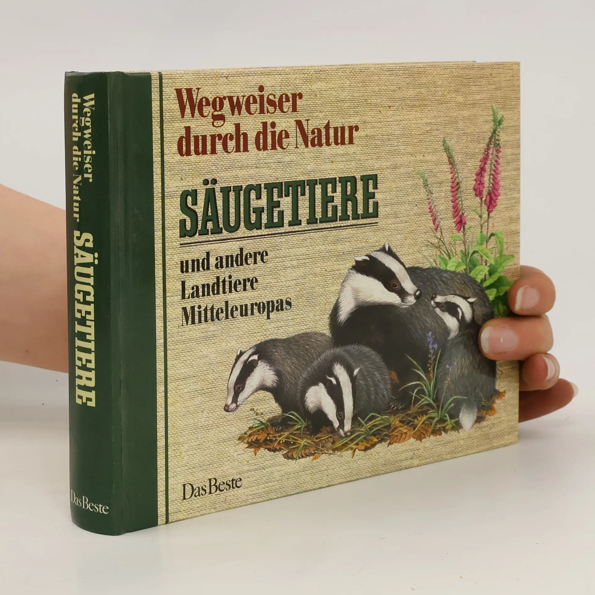 Wegweiser durch die Natur. Säugetiere und andere Landtiere Mitteleuropas | Buch | Hardcover | Friedrich Dieterlen