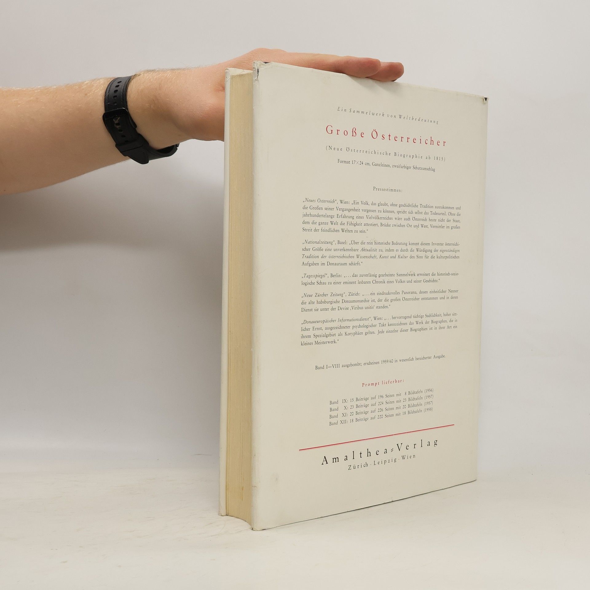 Maurus Schellhorn Der heilige Petrus und seine Nachfolger