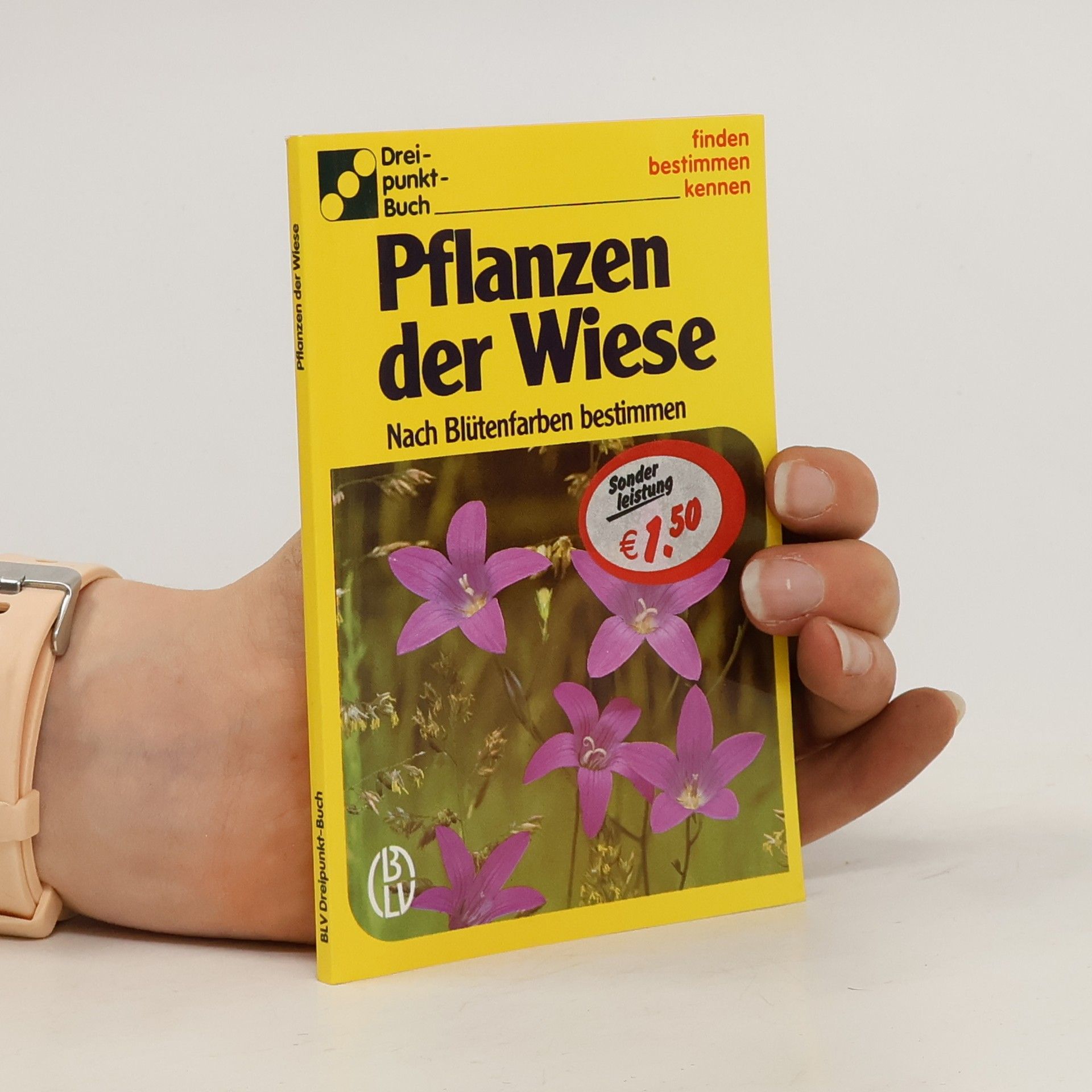 Alfred Handel Pflanzen der Wiese
