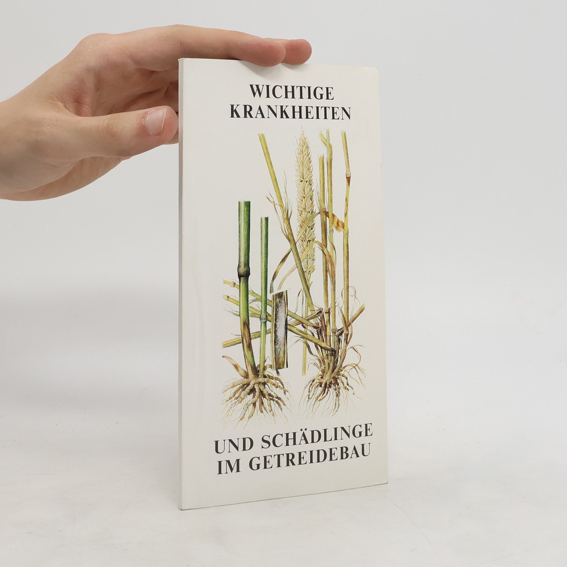 Collectif d'auteurs Wichtige Krankheiten und Schädlinge im Getreidebau