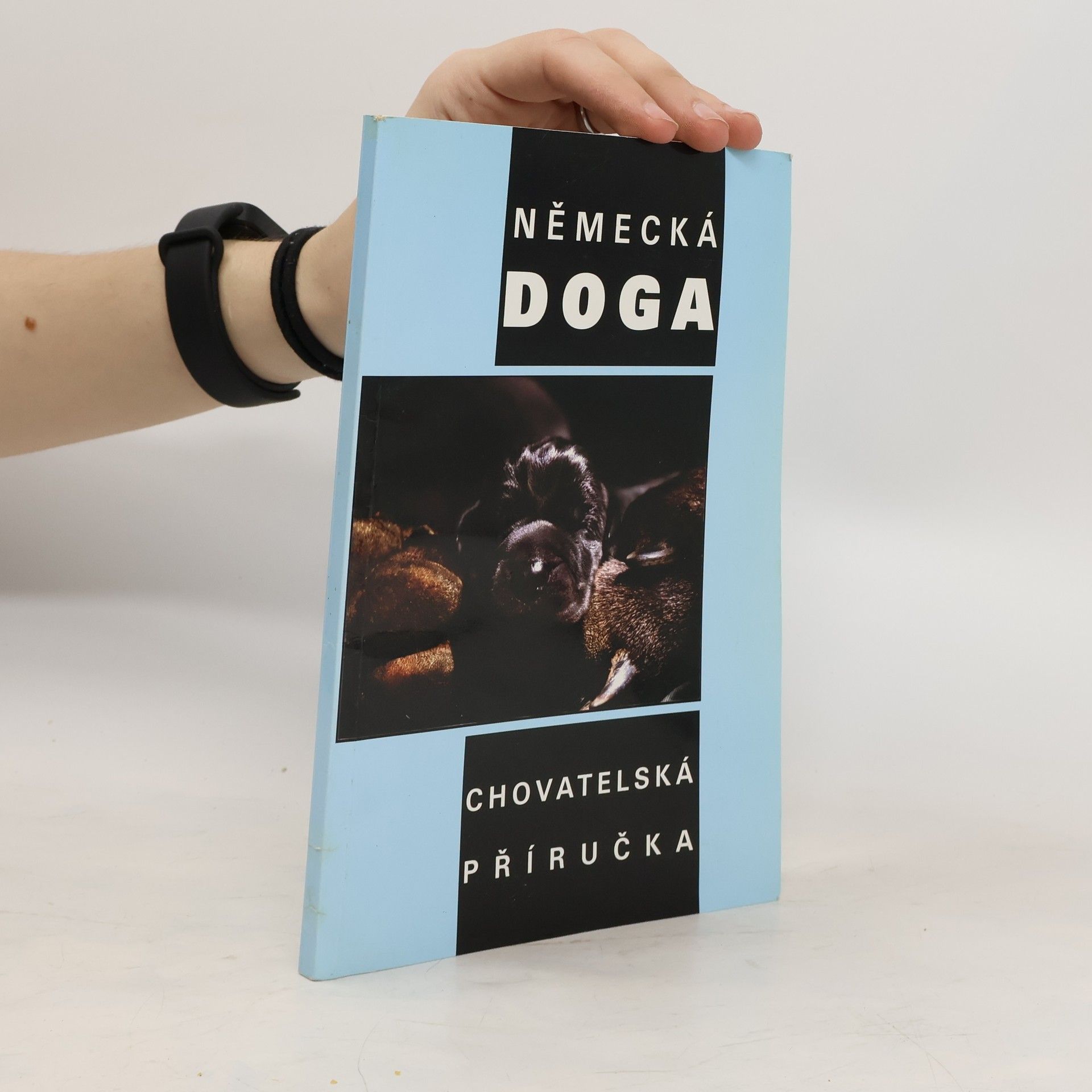 Auteurscollectief Německá doga - chovatelská příručka