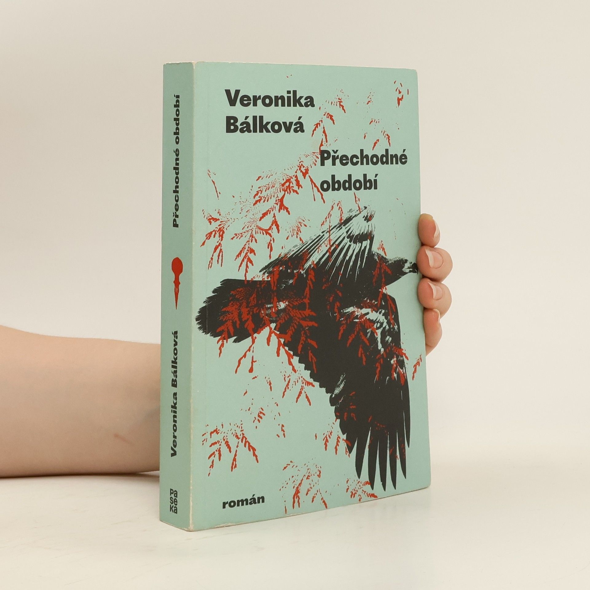 Veronika Bálková Přechodné období