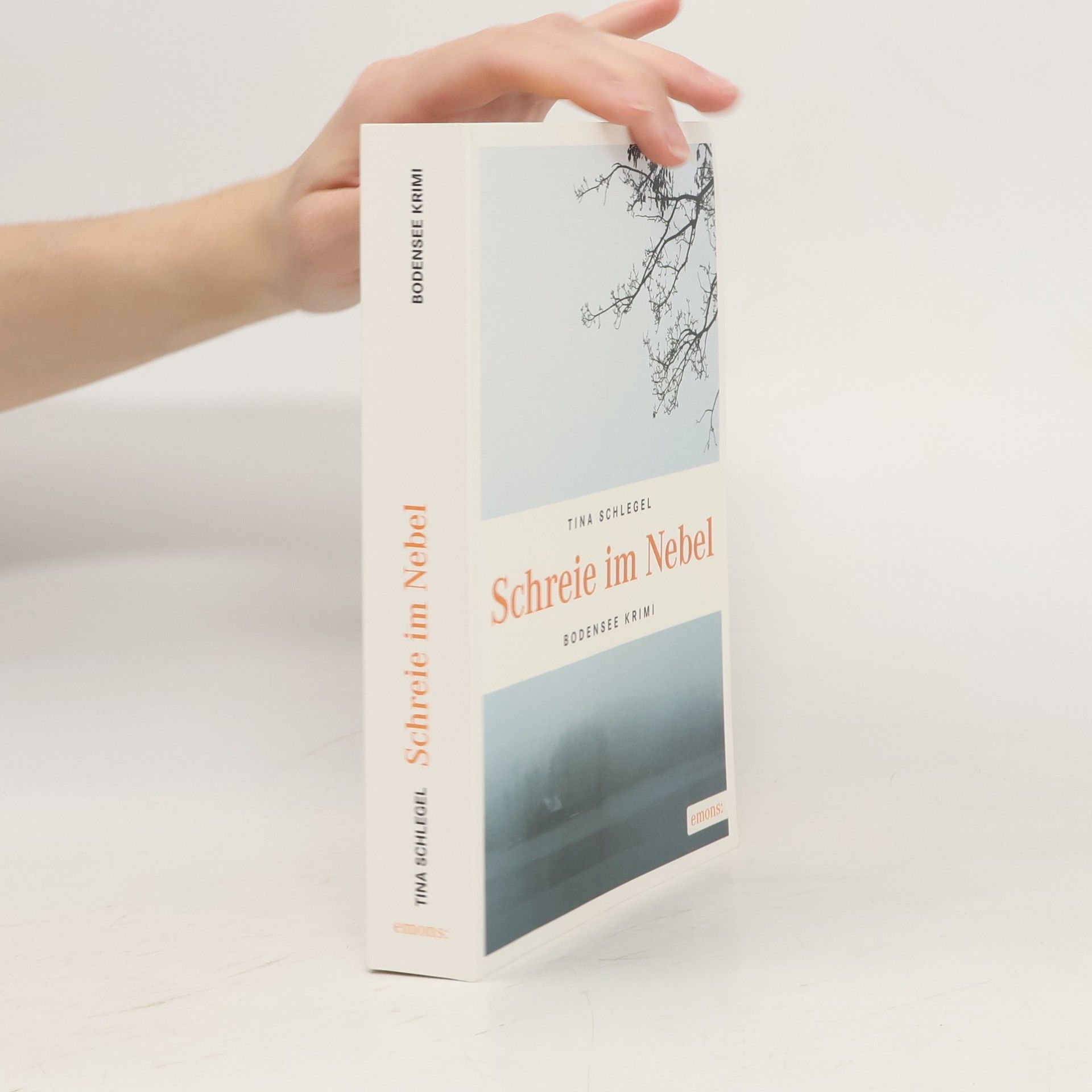 Tina Schlegel Schreie im Nebel