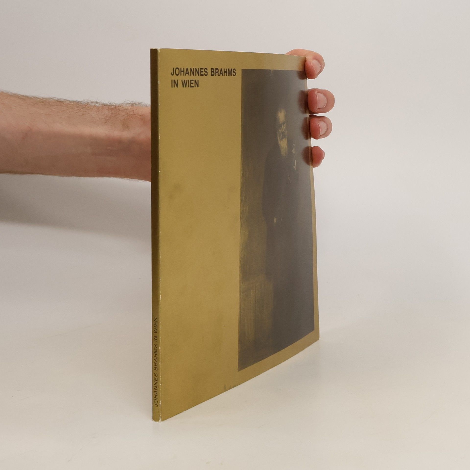 AA.VV. Johannes Brahms in Wien