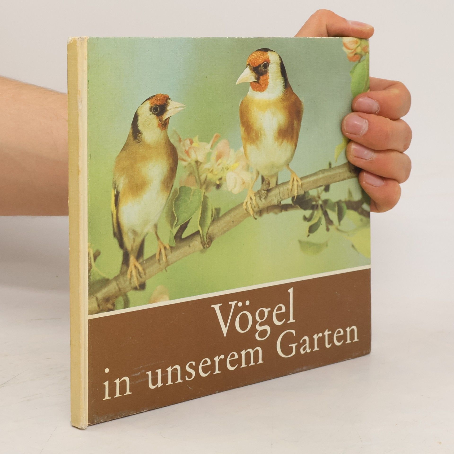 Helmut Massny Vögel in unserem Garten