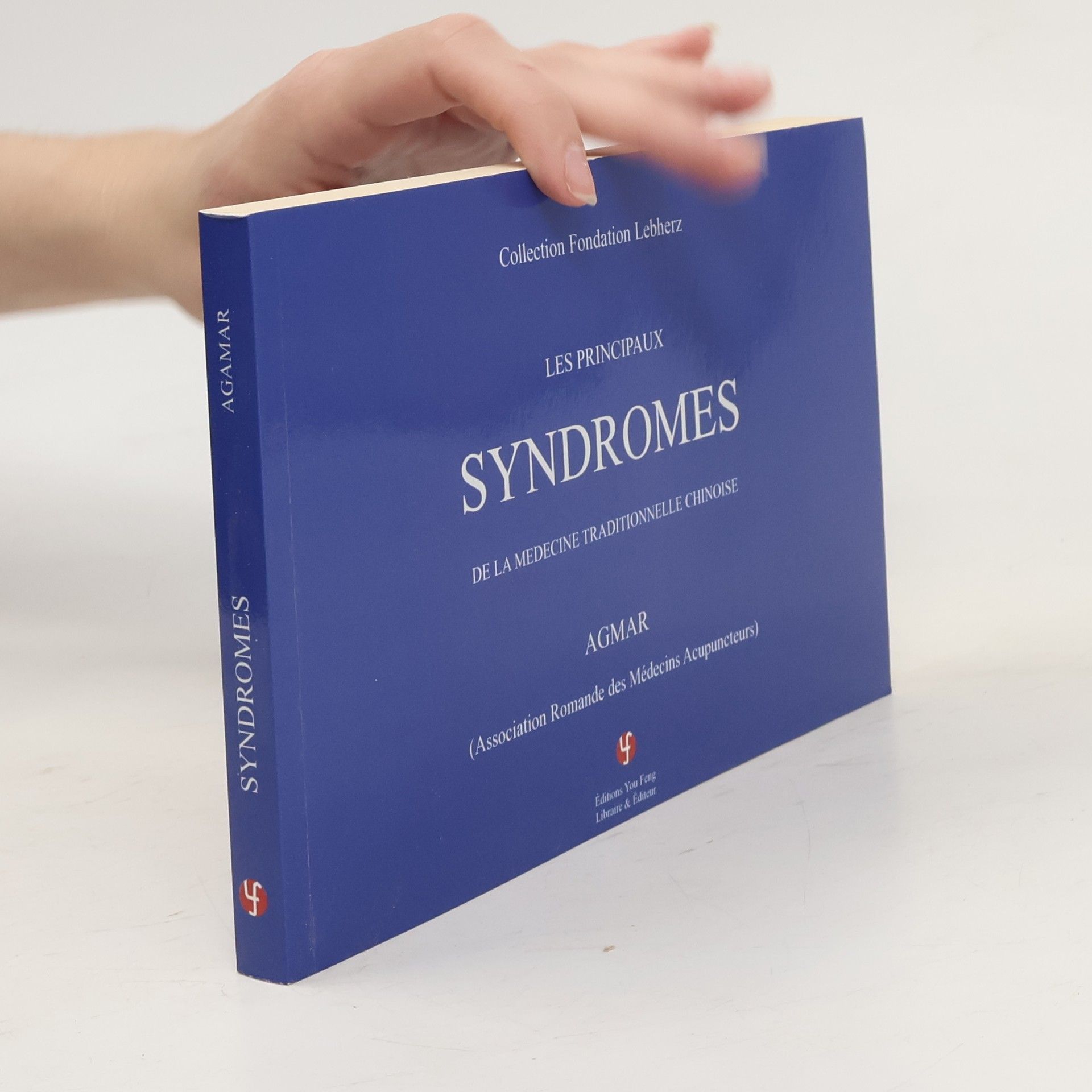 Collectif d'auteurs Les principaux syndromes de la médecine traditionnelle chinoise