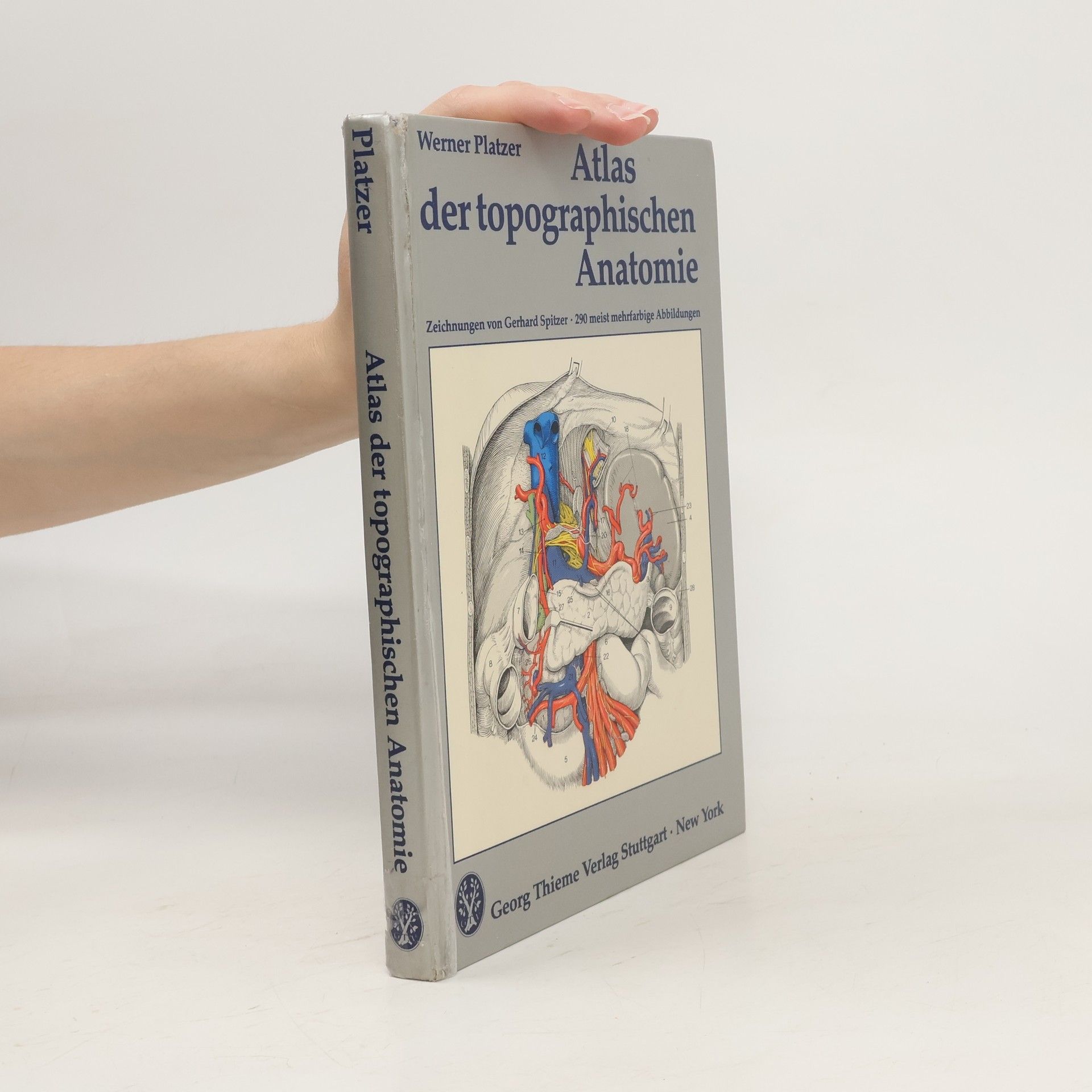 Werner Platzer Platzer Atlas der topographischen Anatomie