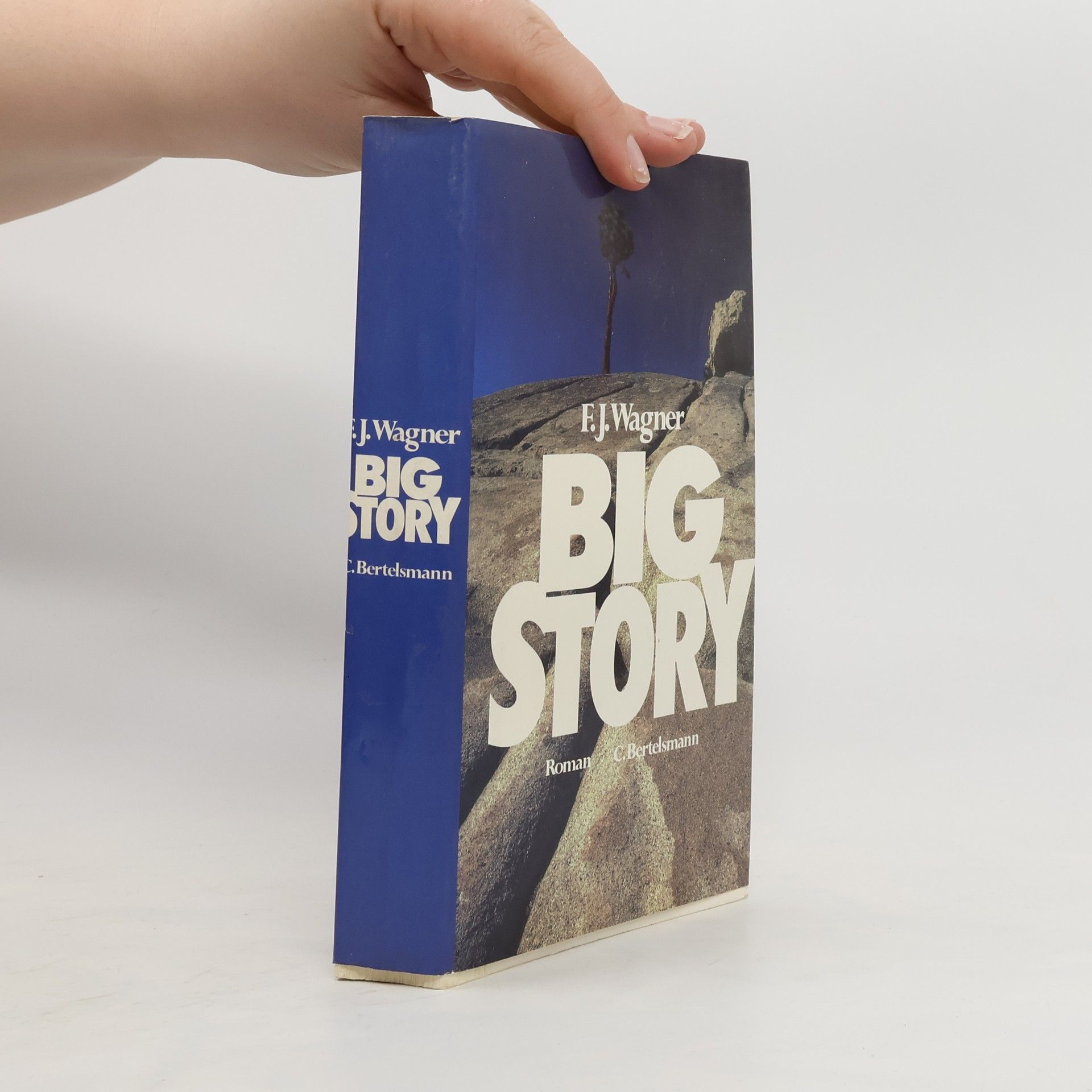 Franz Josef Wagner Big story