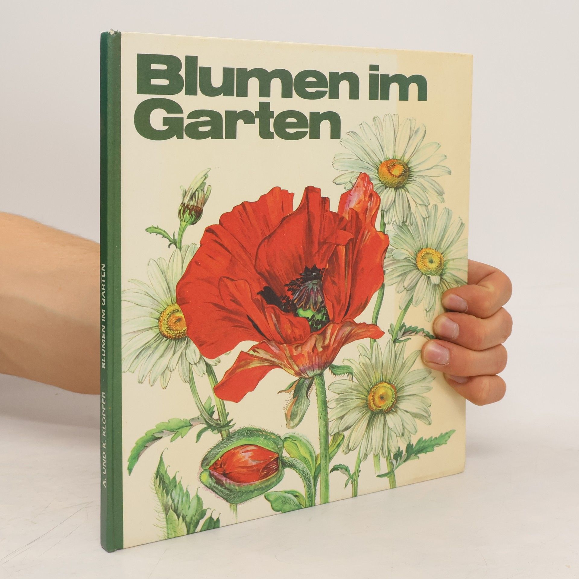 Annerose Klopfer Blumen im Garten