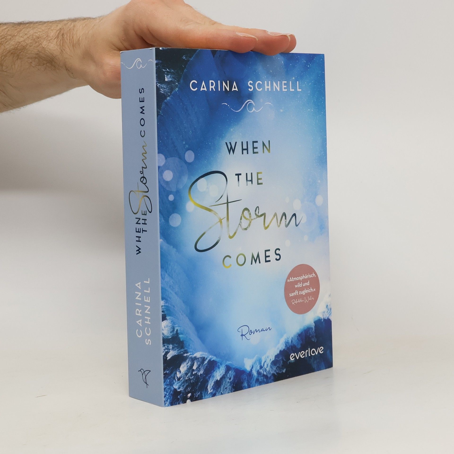 Carina Schnell When the storm comes