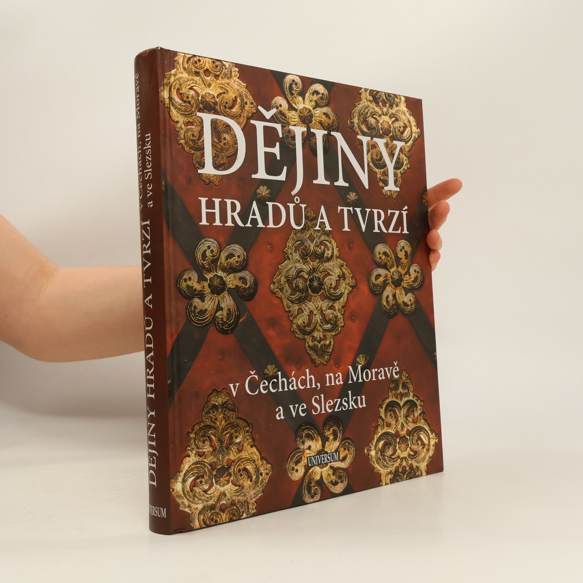 P. David Dějiny hradů a tvrzí v Čechách, na Moravě a ve Slezsku