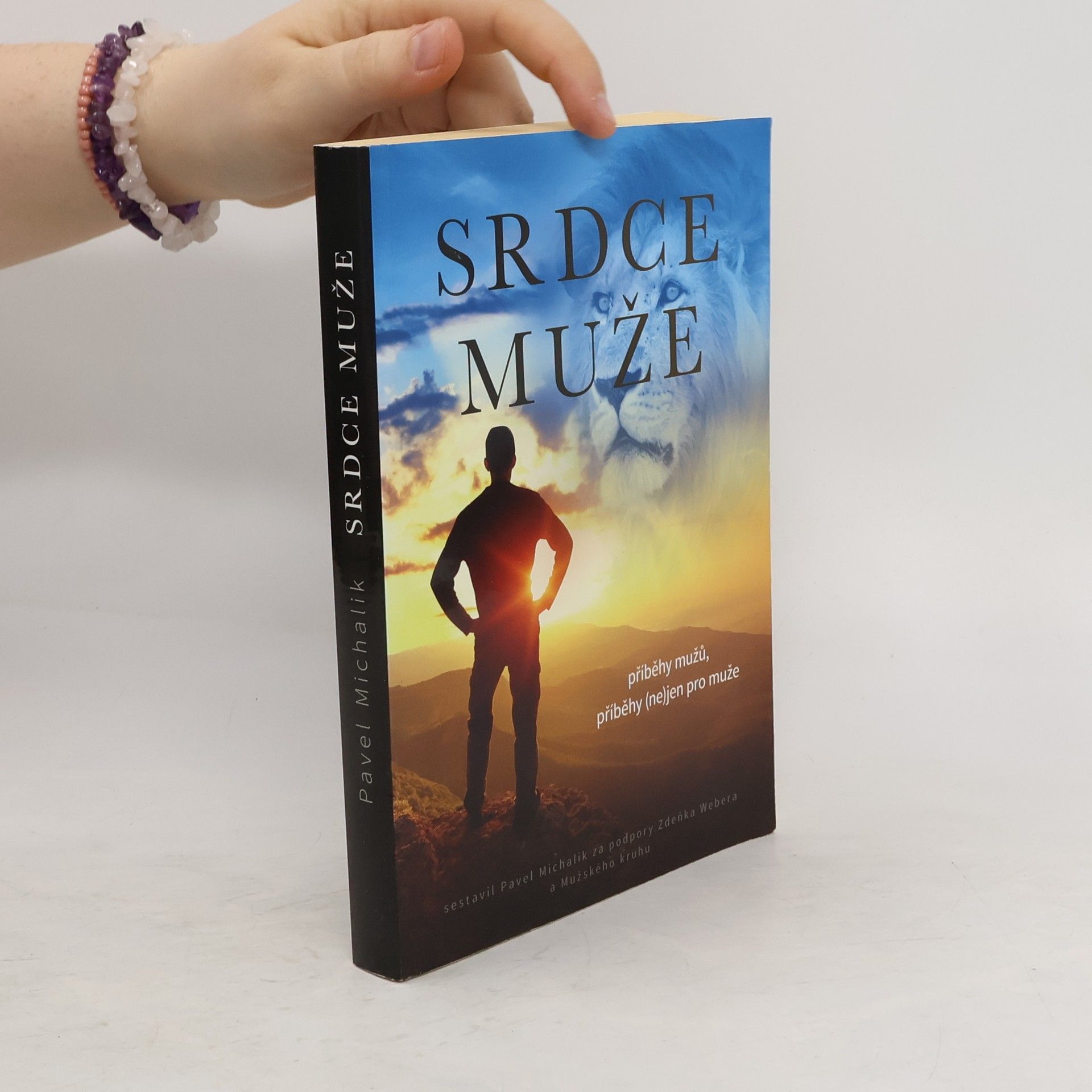 Kolektiv autorů Srdce muže: Příběhy mužů (ne)jen pro muže