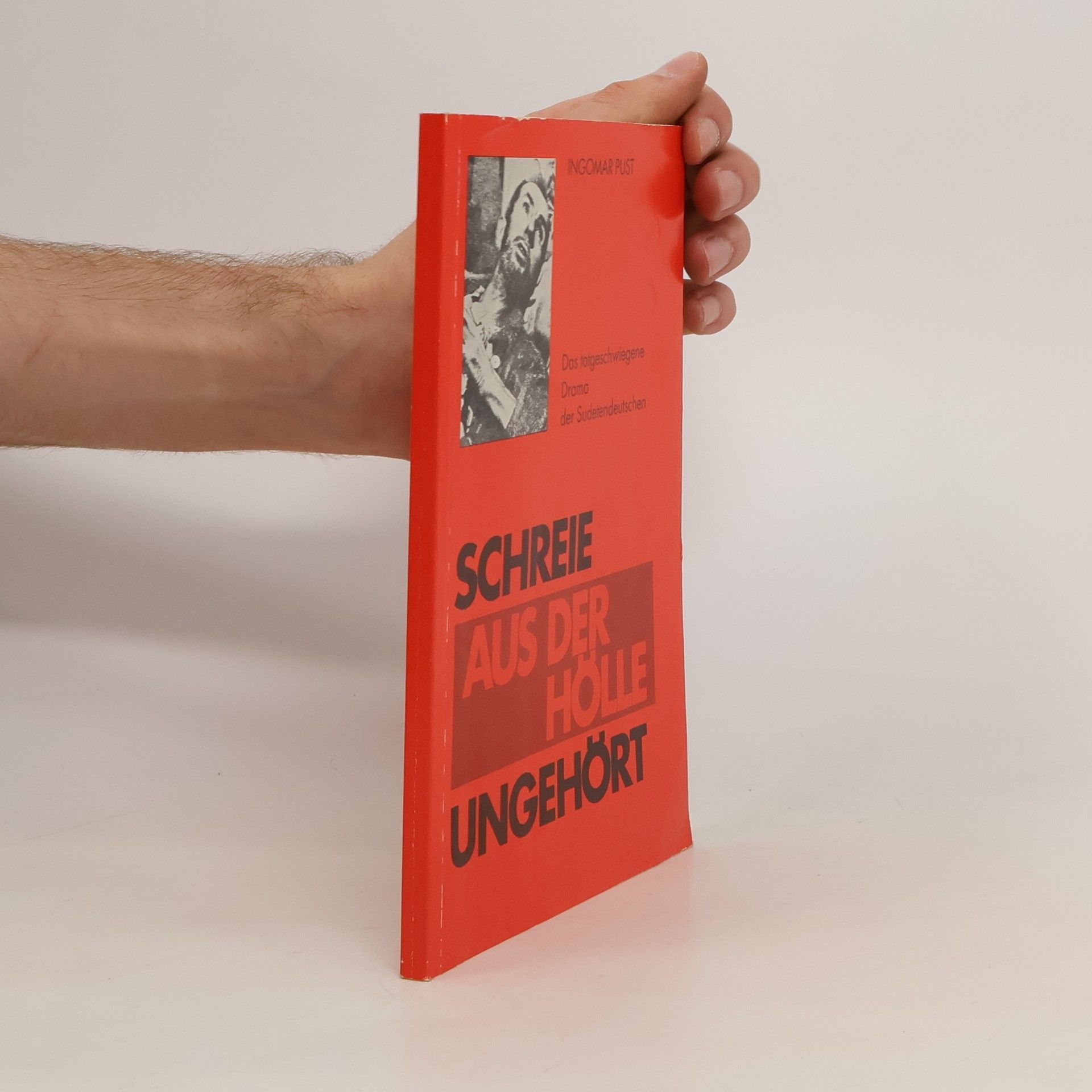 Ingomar Pust Schreie aus der Hölle ungehört