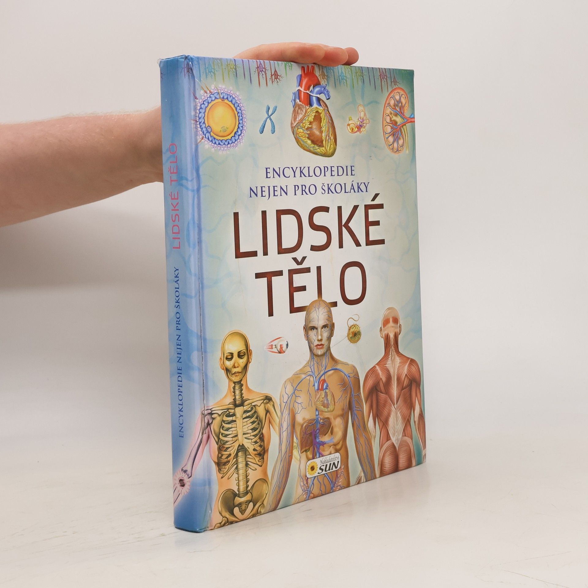 Hana Jovanovičová Lidské tělo