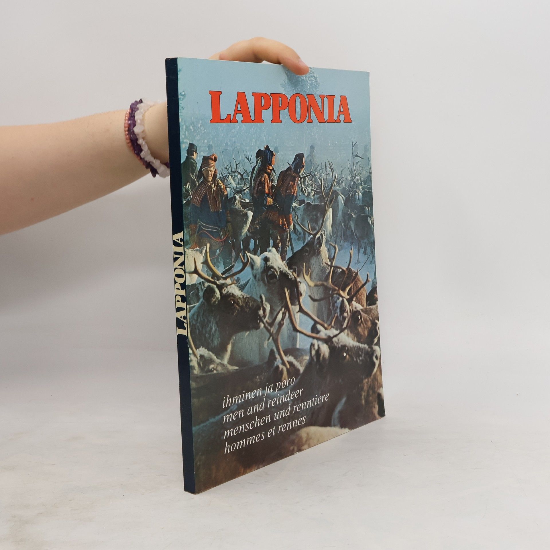 Dino Sassi Lapponia