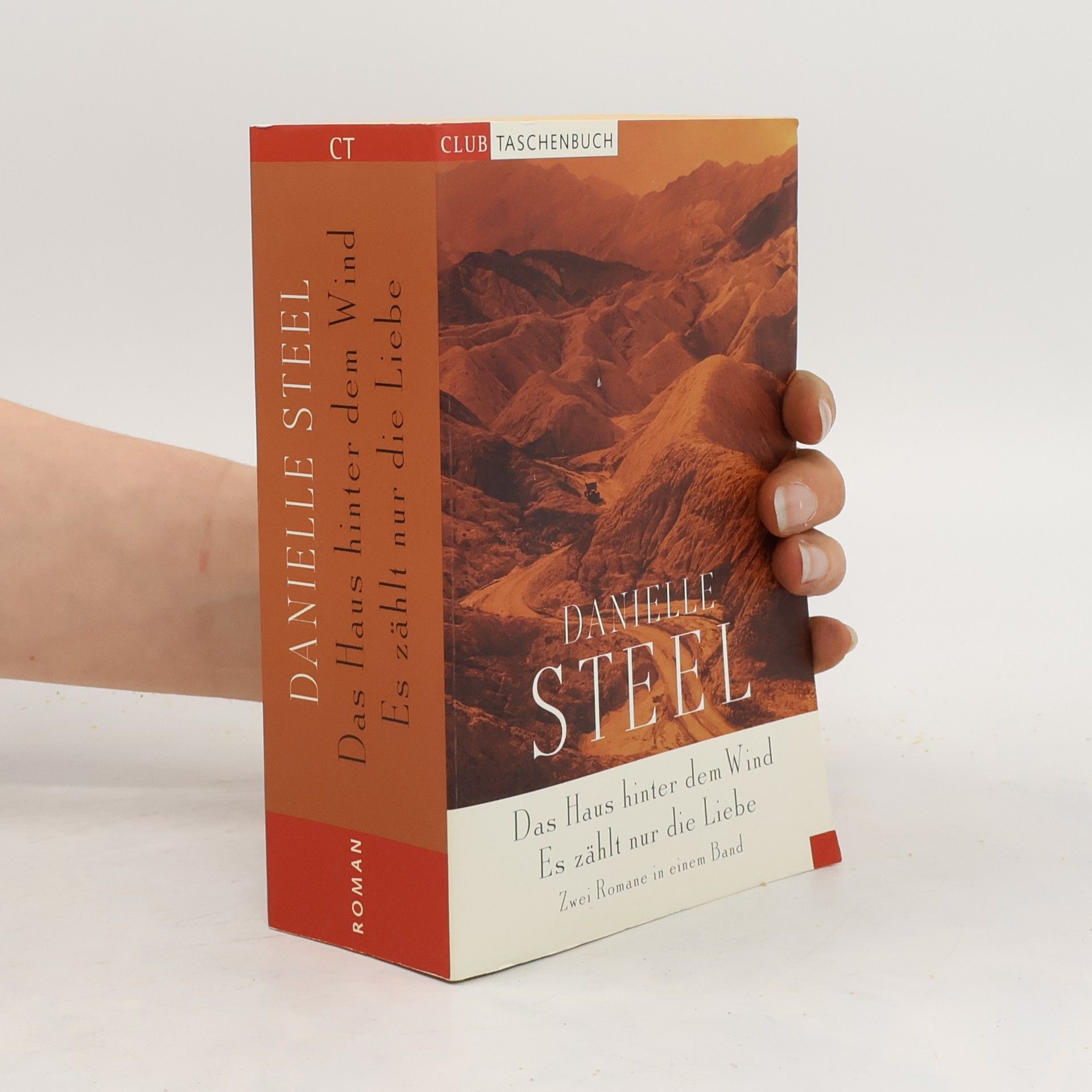 Danielle Steel Das Haus hinter dem Wind, Es zählt nur die Liebe