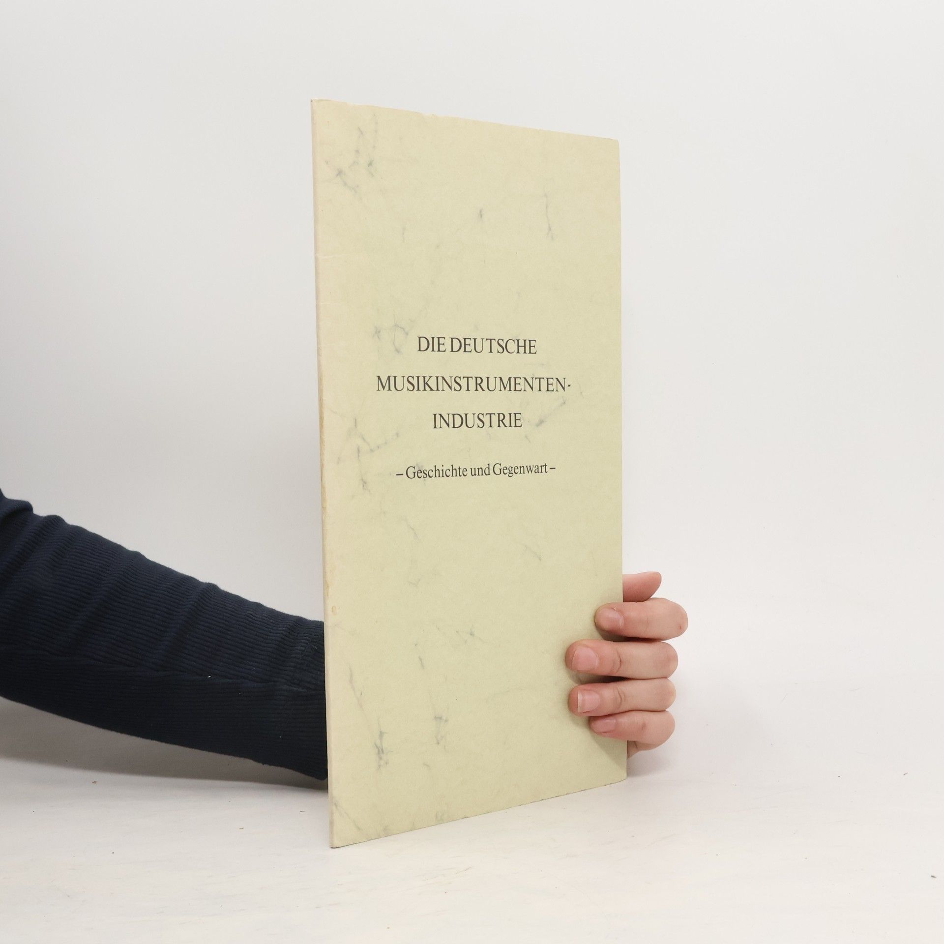 Collectif d'auteurs Die deutsche Musikinstrumentenindustrie