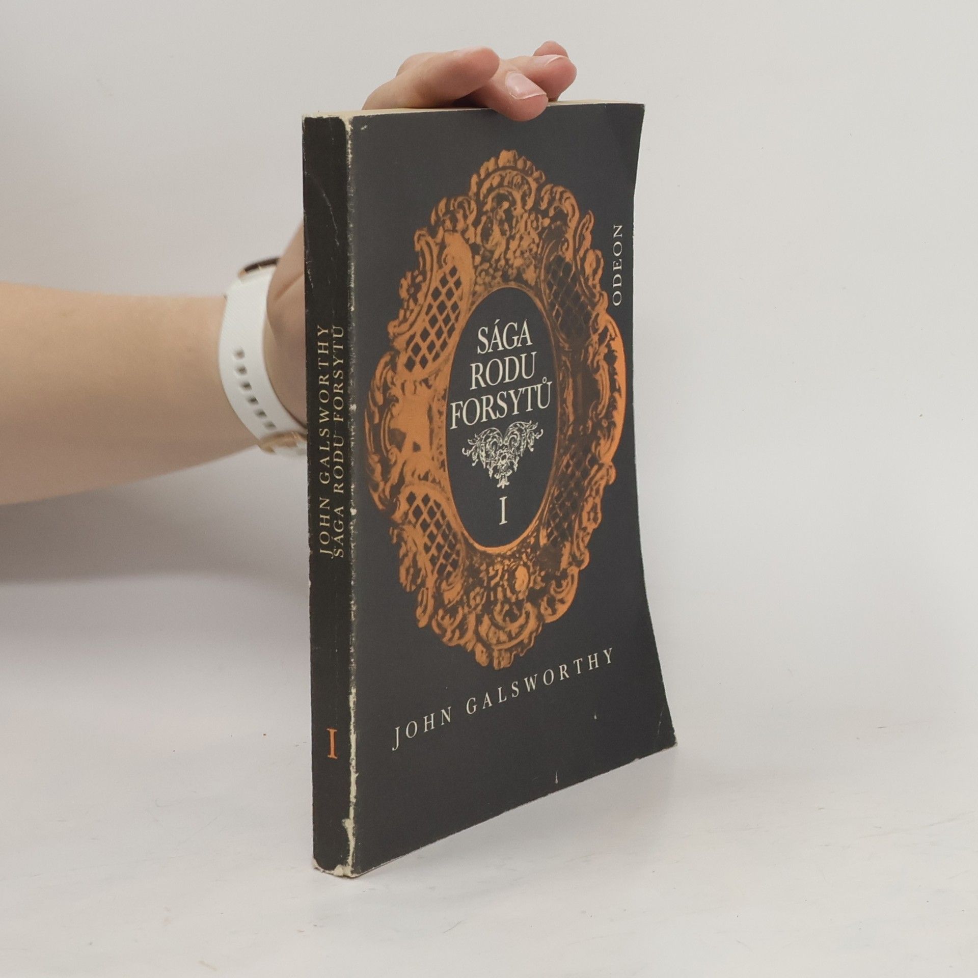 John Galsworthy Sága rodu Forsytů I